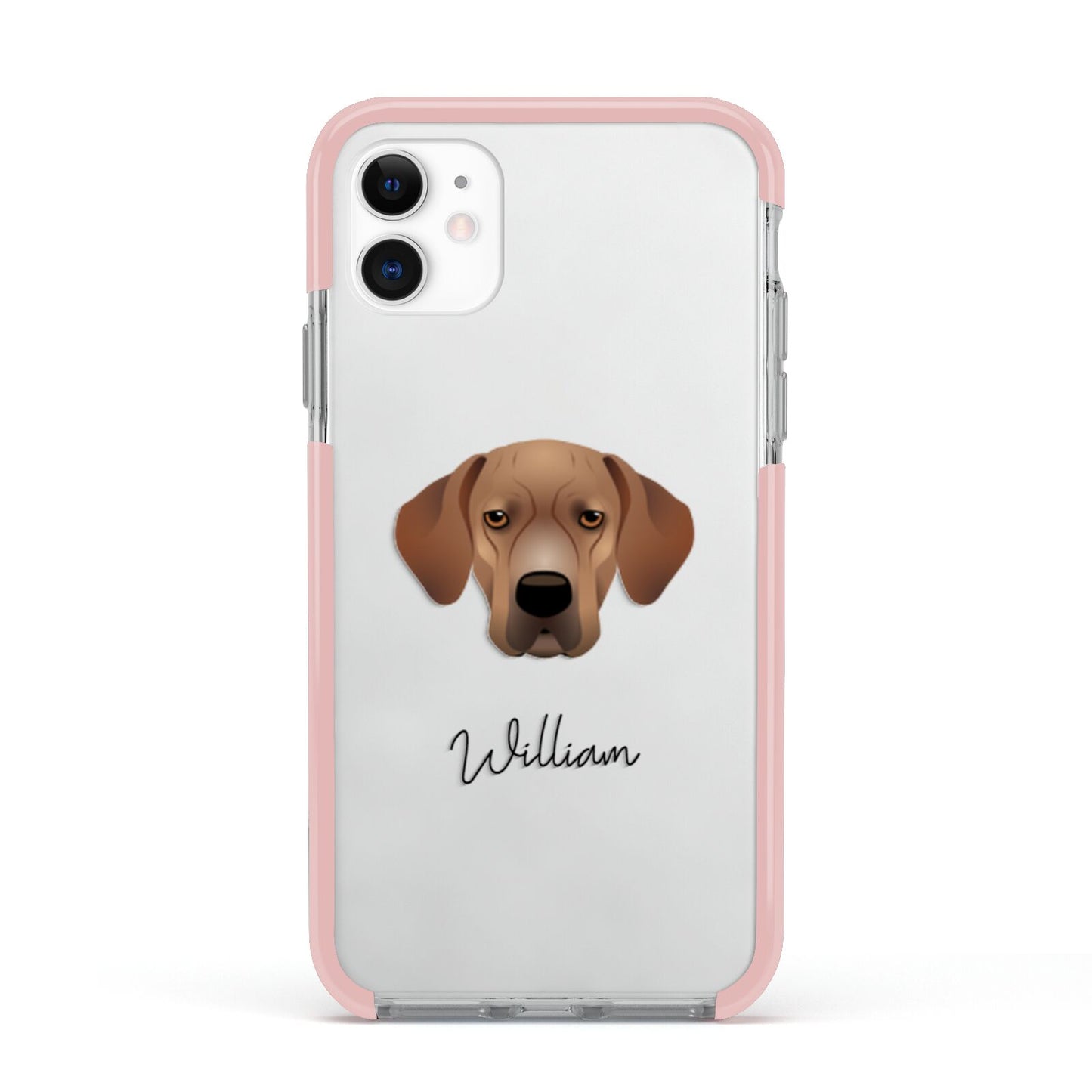 Portuguese Pointer Personalised Apple iPhone 11 in White with Pink Impact Case