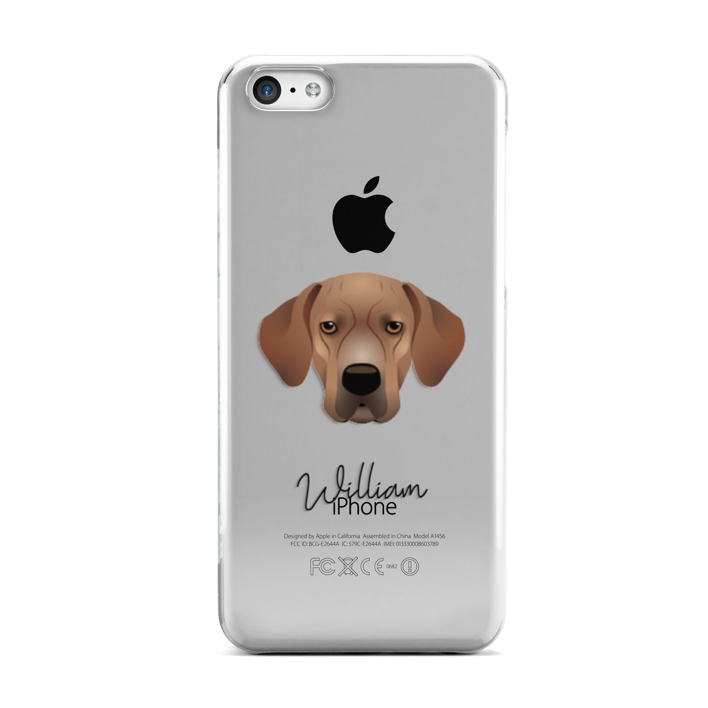 Portuguese Pointer Personalised Apple iPhone 5c Case