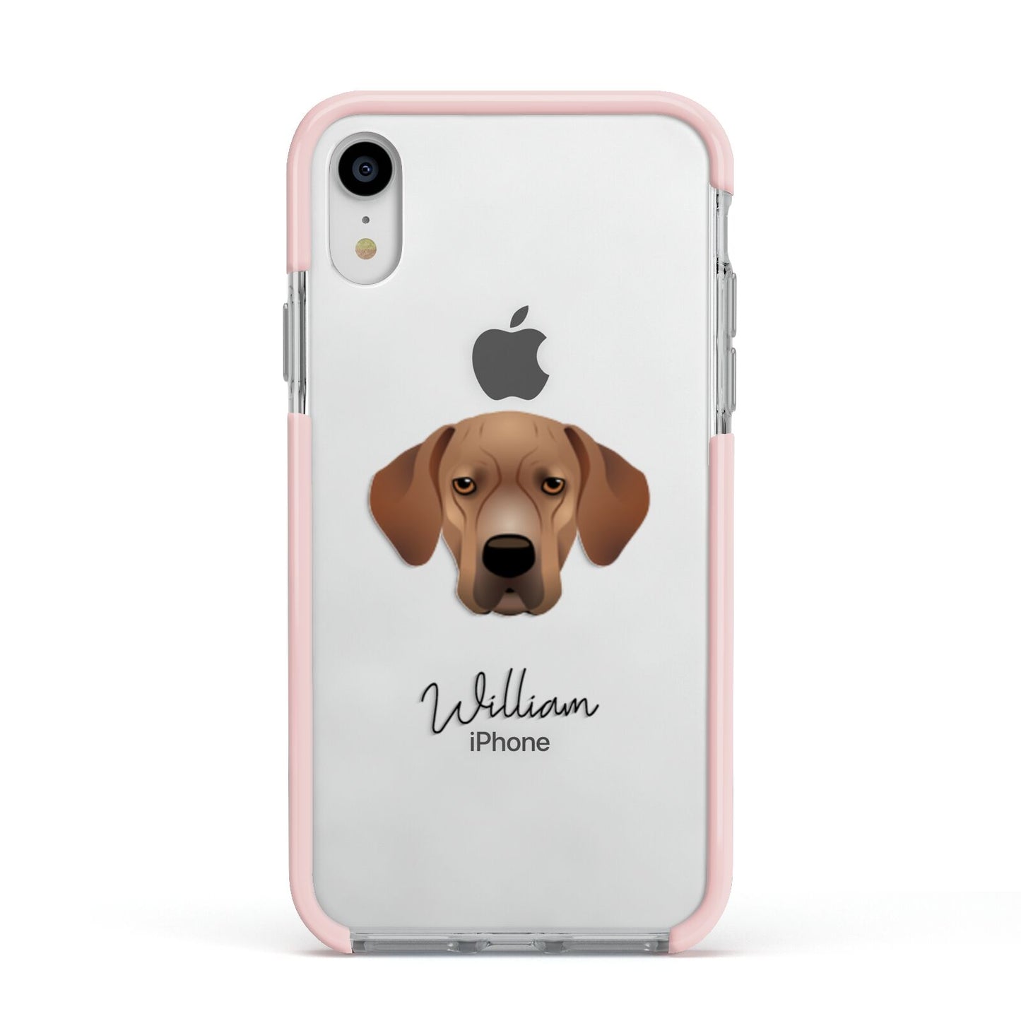 Portuguese Pointer Personalised Apple iPhone XR Impact Case Pink Edge on Silver Phone