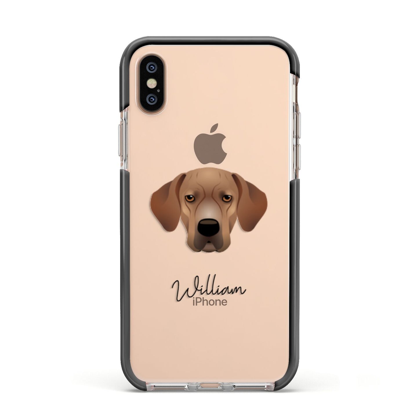 Portuguese Pointer Personalised Apple iPhone Xs Impact Case Black Edge on Gold Phone