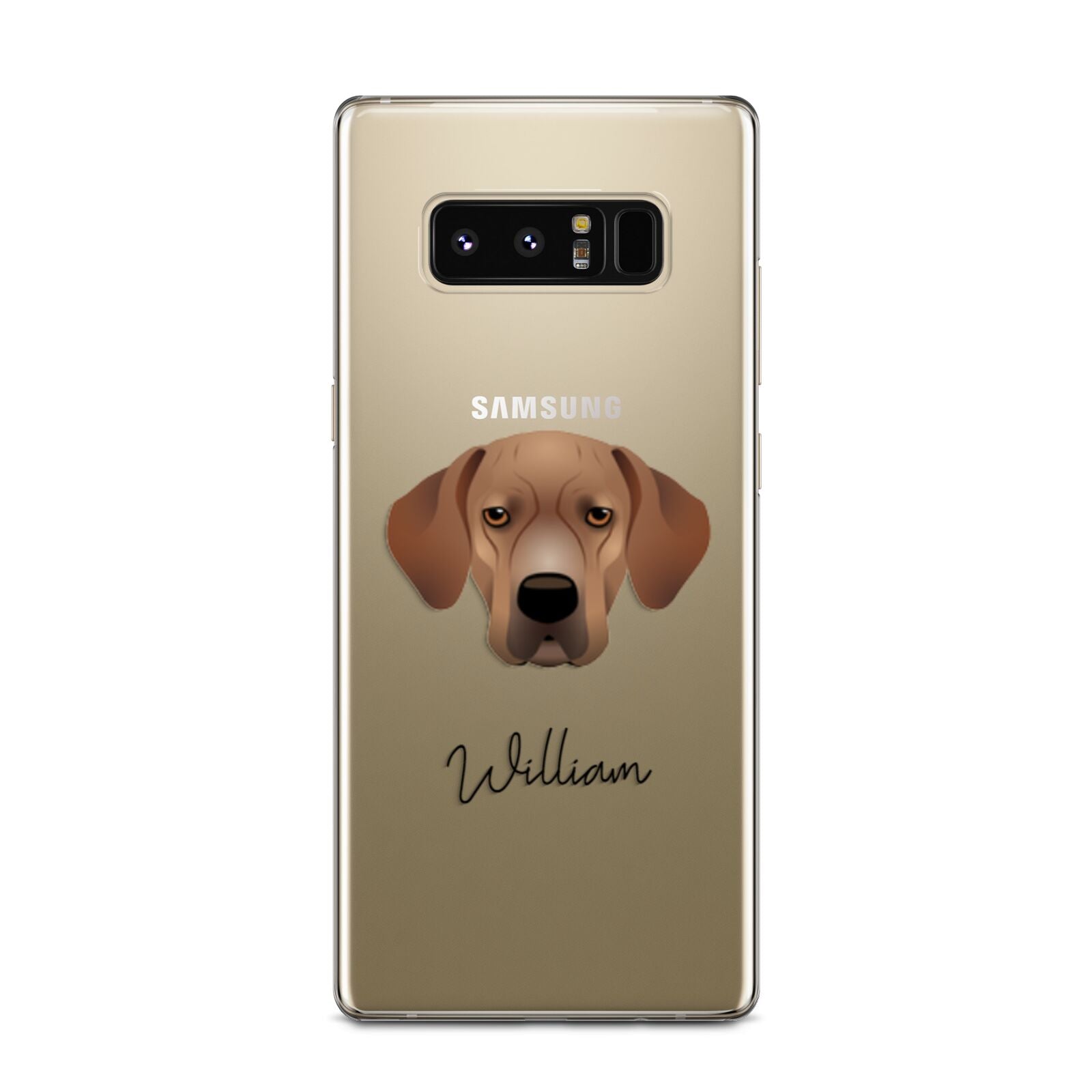 Portuguese Pointer Personalised Samsung Galaxy Note 8 Case