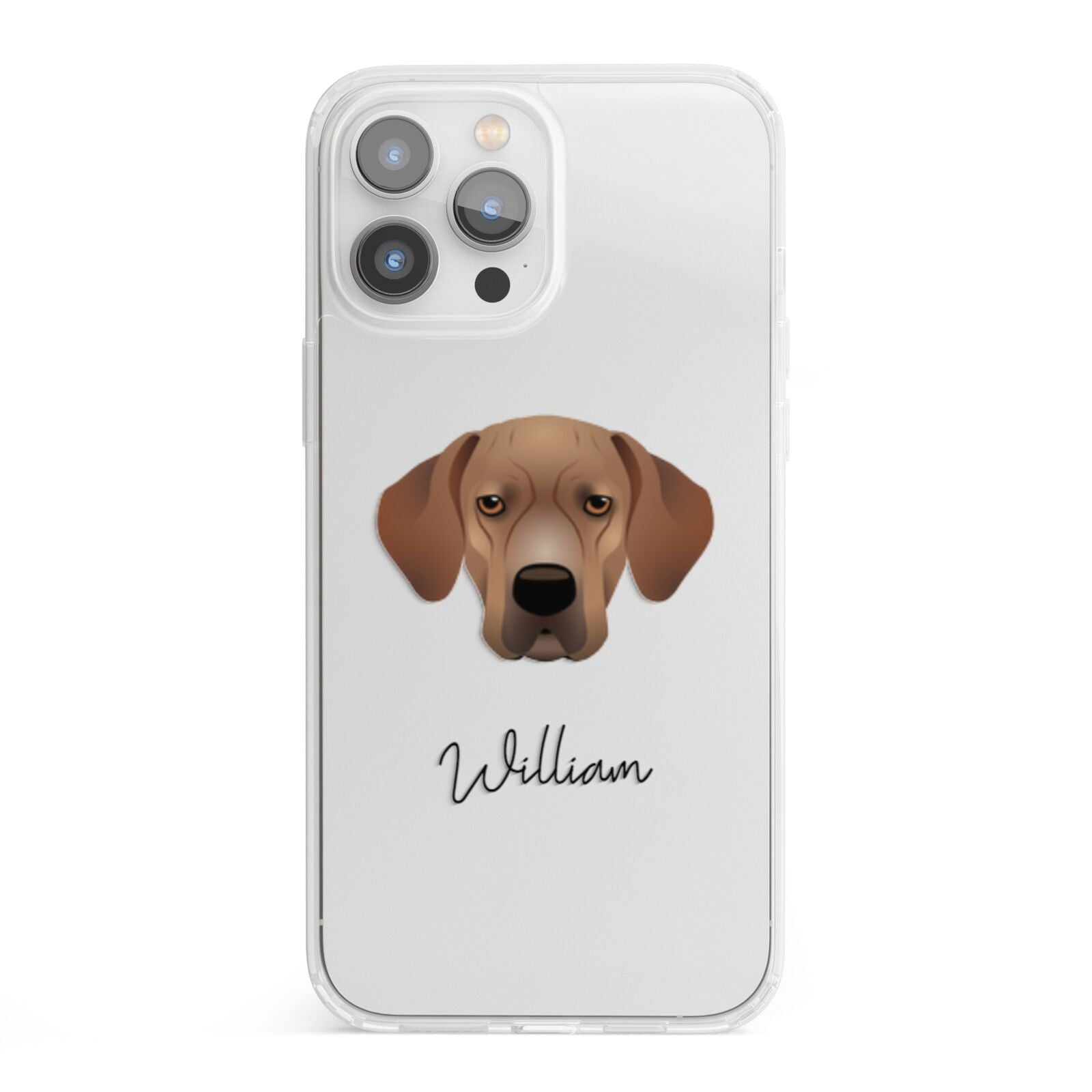 Portuguese Pointer Personalised iPhone 13 Pro Max Clear Bumper Case