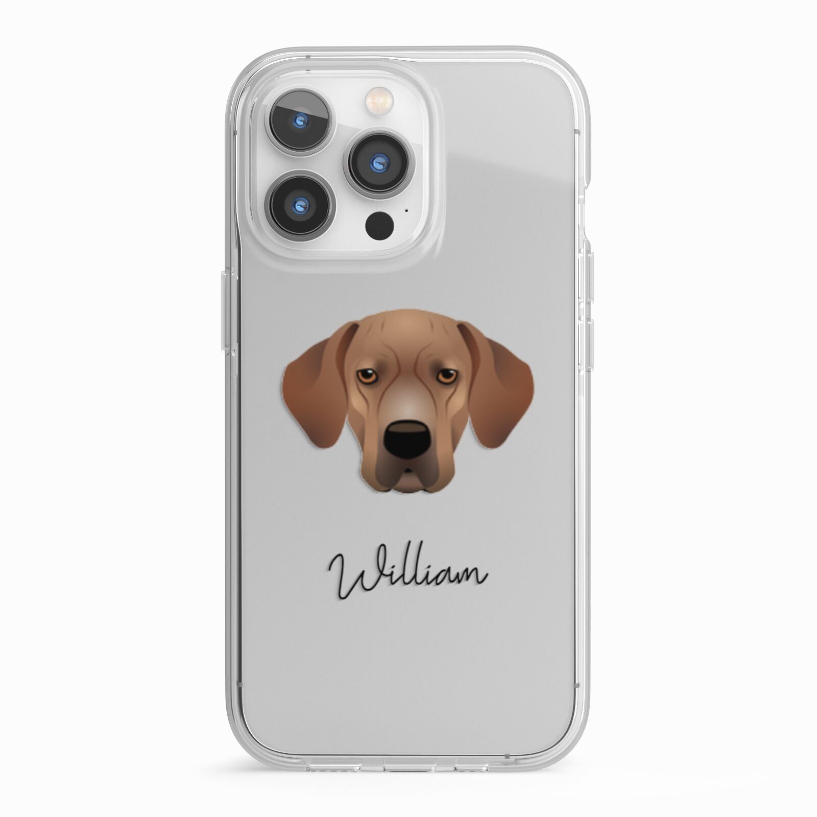 Portuguese Pointer Personalised iPhone 13 Pro TPU Impact Case with White Edges