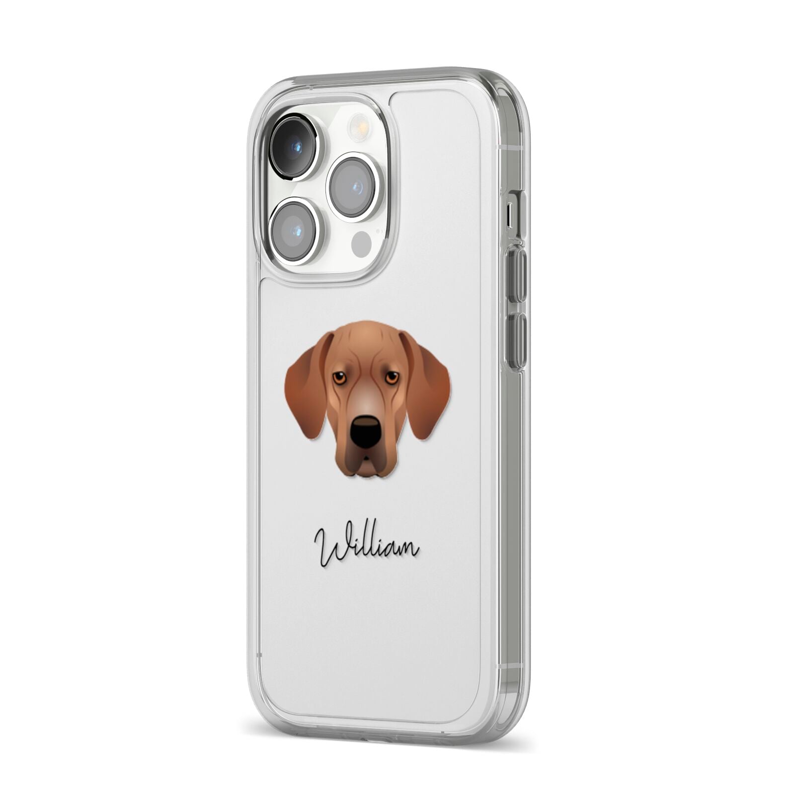 Portuguese Pointer Personalised iPhone 14 Pro Clear Tough Case Silver Angled Image