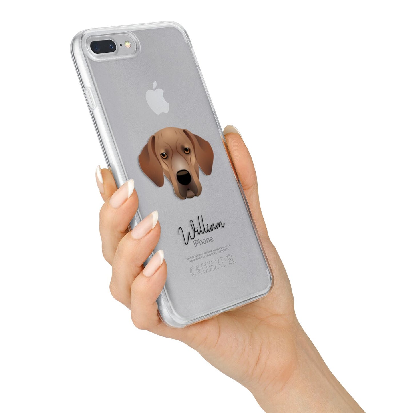 Portuguese Pointer Personalised iPhone 7 Plus Bumper Case on Silver iPhone Alternative Image