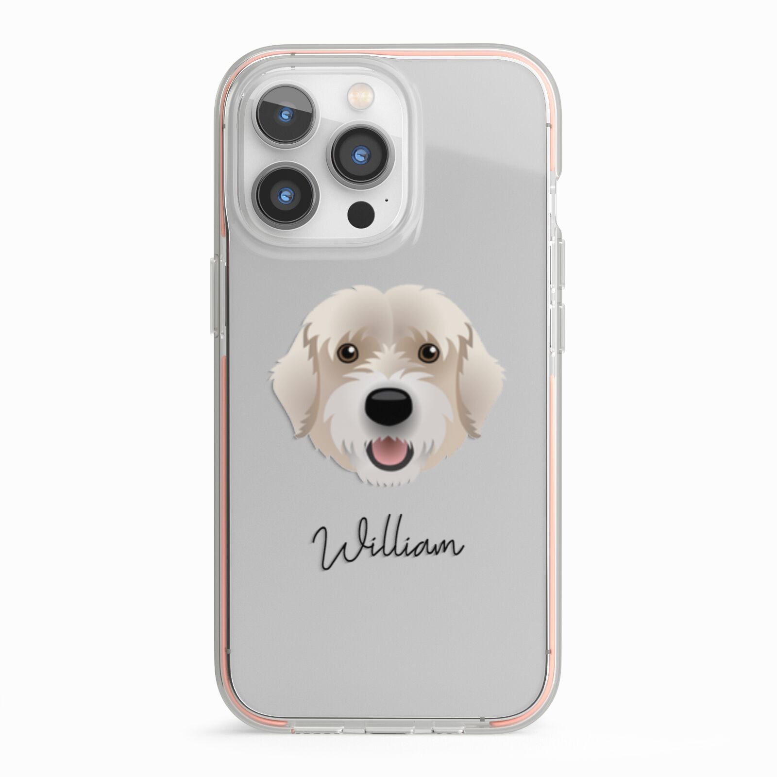Portuguese Water Dog Personalised iPhone 13 Pro TPU Impact Case with Pink Edges