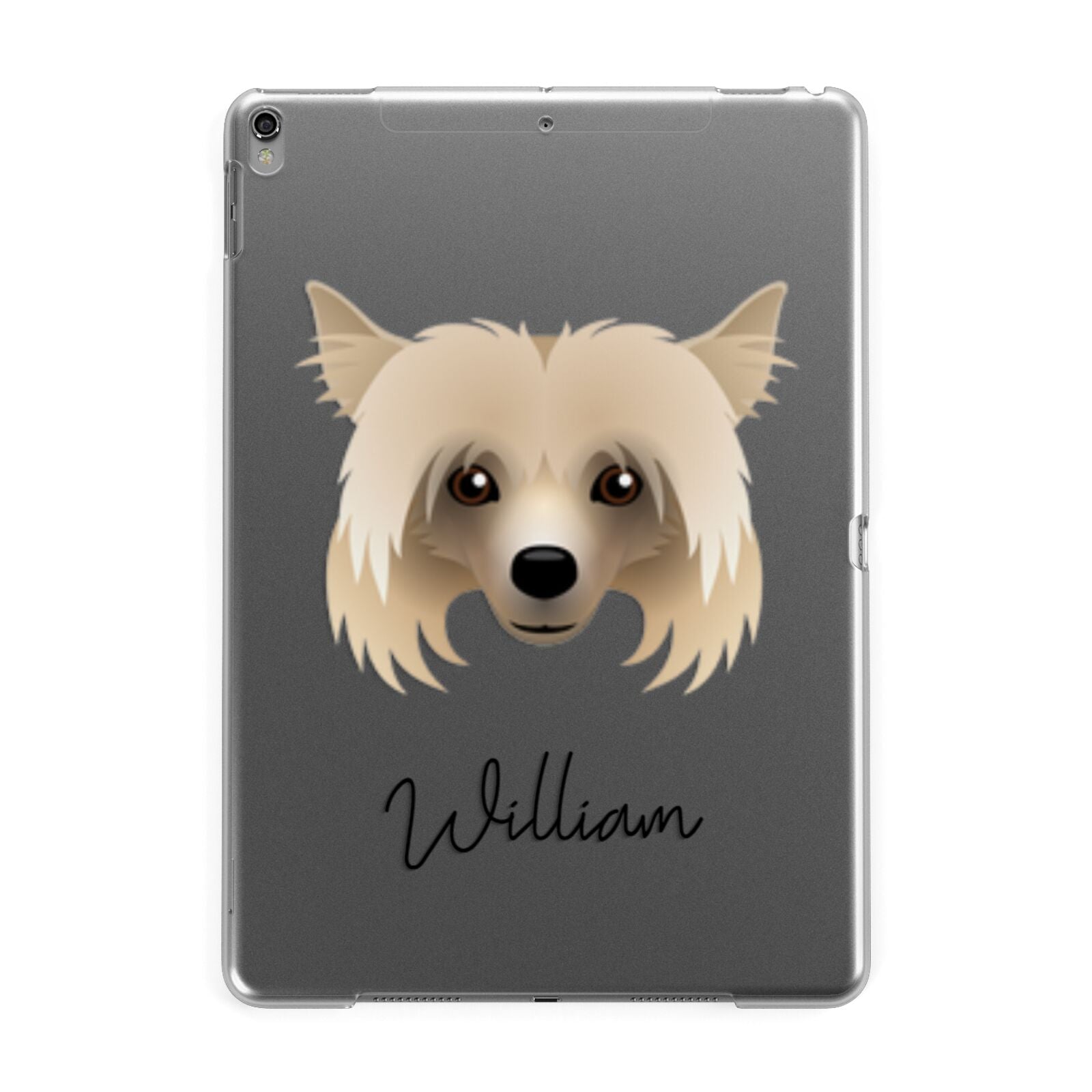 Powderpuff Chinese Crested Personalised Apple iPad Grey Case