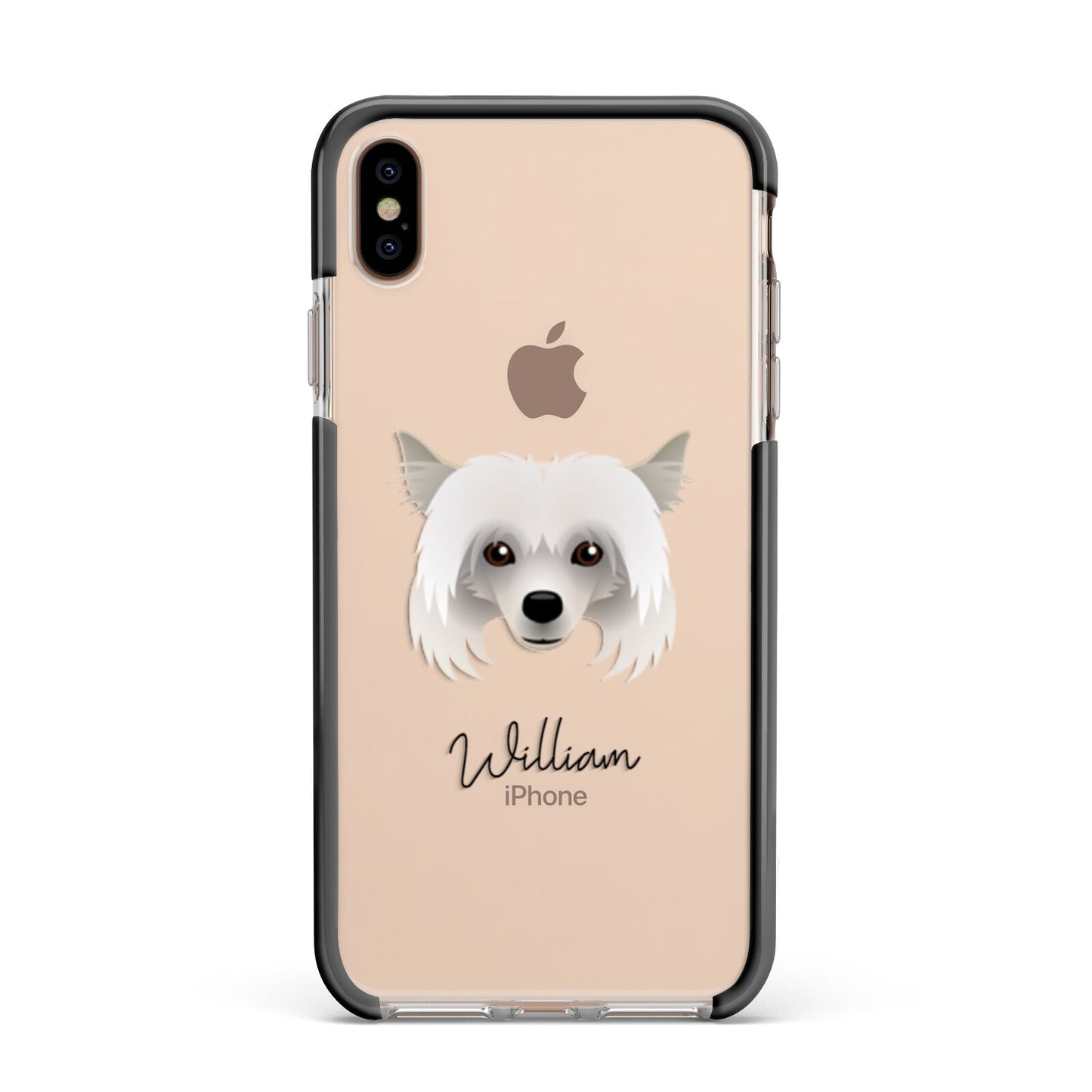 Powderpuff Chinese Crested Personalised Apple iPhone Xs Max Impact Case Black Edge on Gold Phone