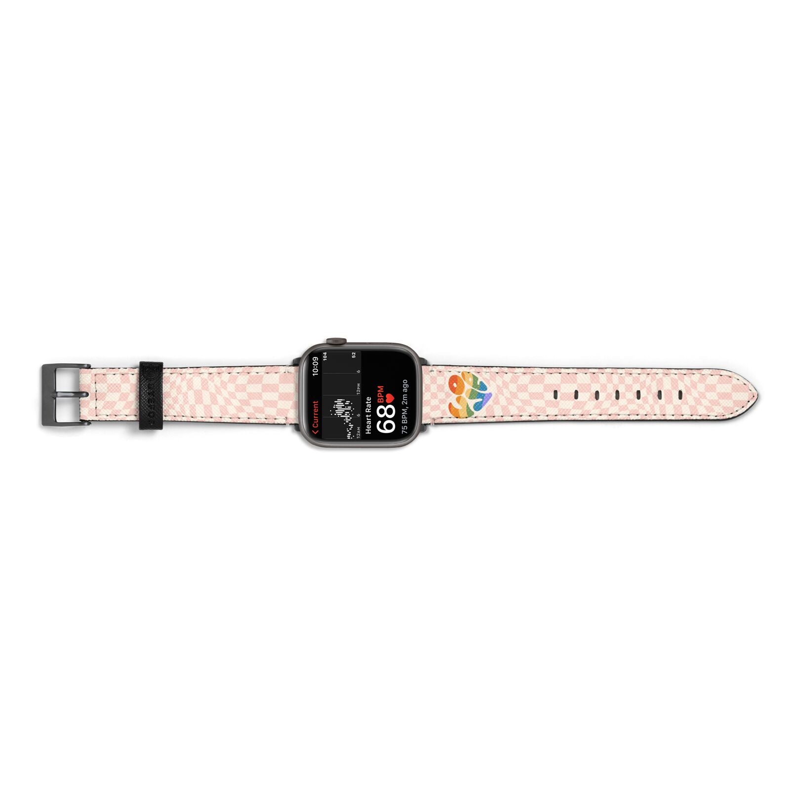 Pride Apple Watch Strap Size 38mm Landscape Image Space Grey Hardware