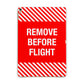 Remove Before Flight Apple iPad Gold Case