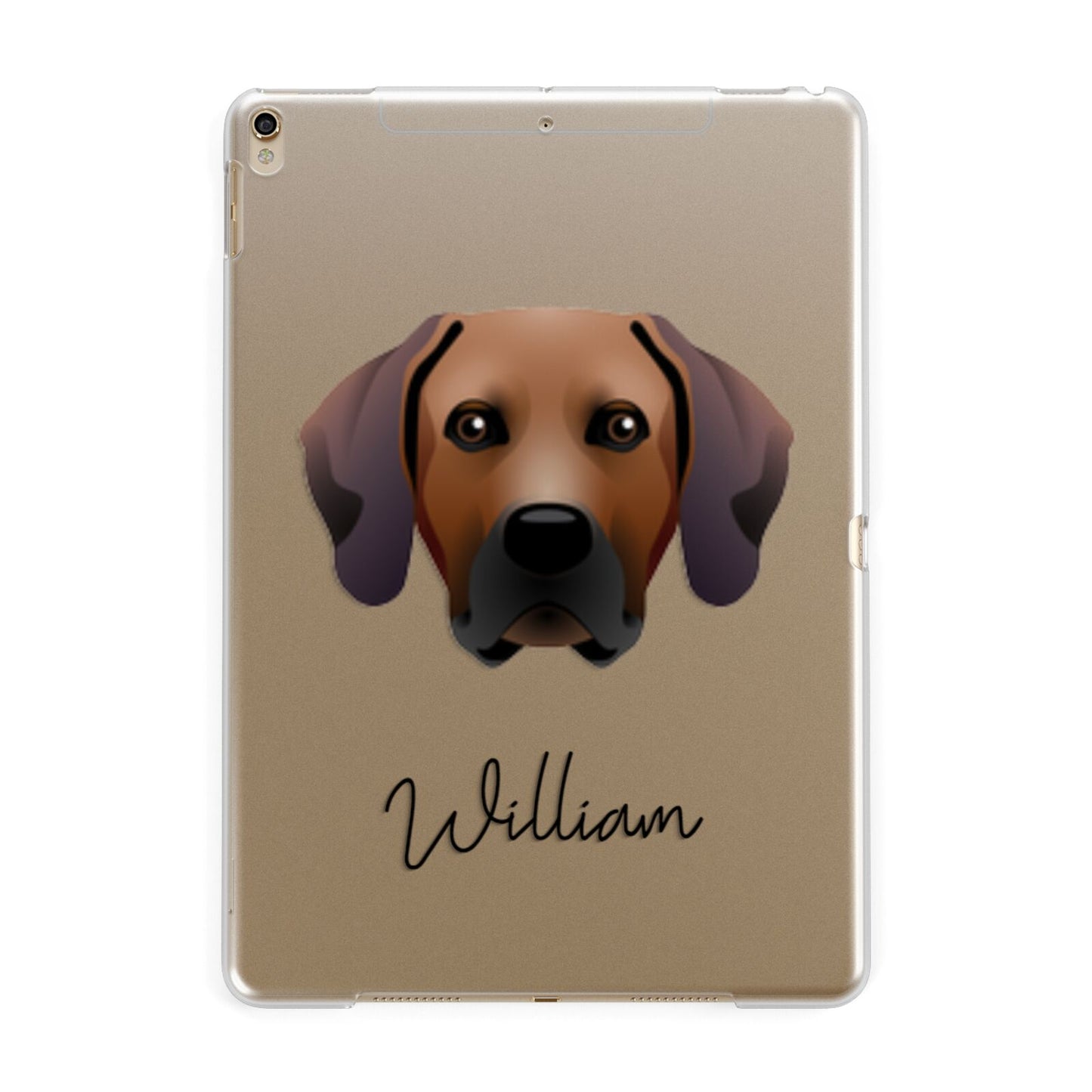 Rhodesian Ridgeback Personalised Apple iPad Gold Case