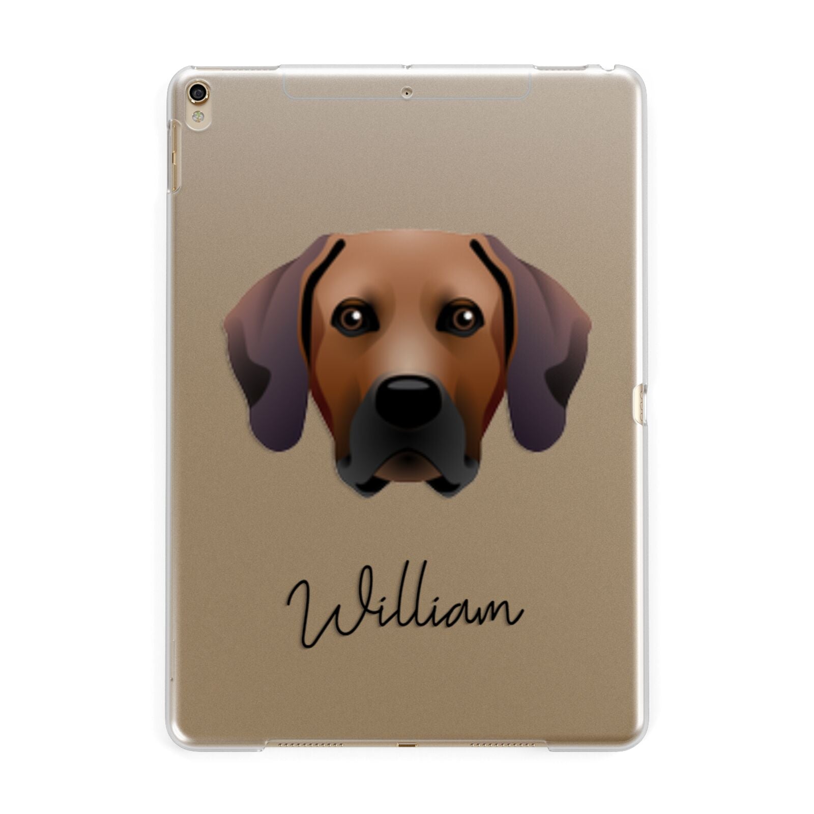 Rhodesian Ridgeback Personalised Apple iPad Gold Case