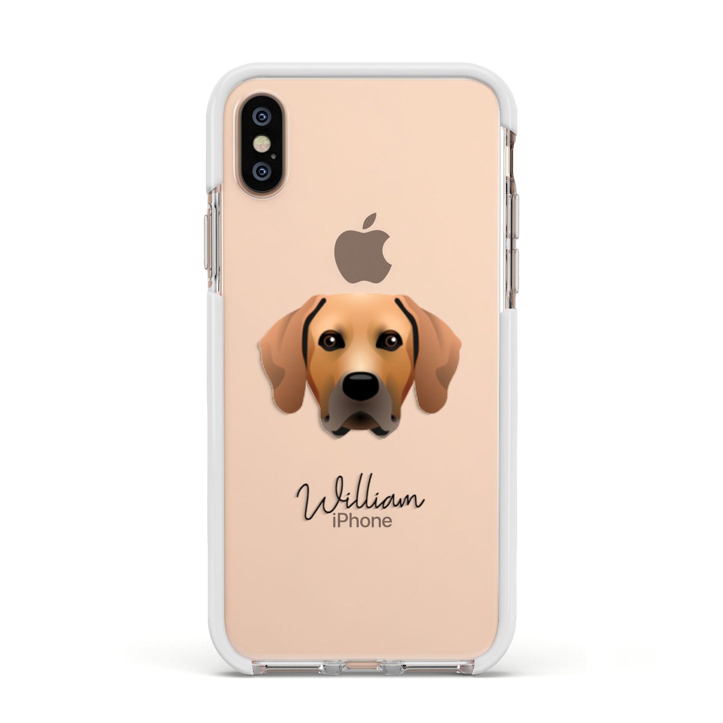 Rhodesian Ridgeback Personalised Apple iPhone Xs Impact Case White Edge on Gold Phone