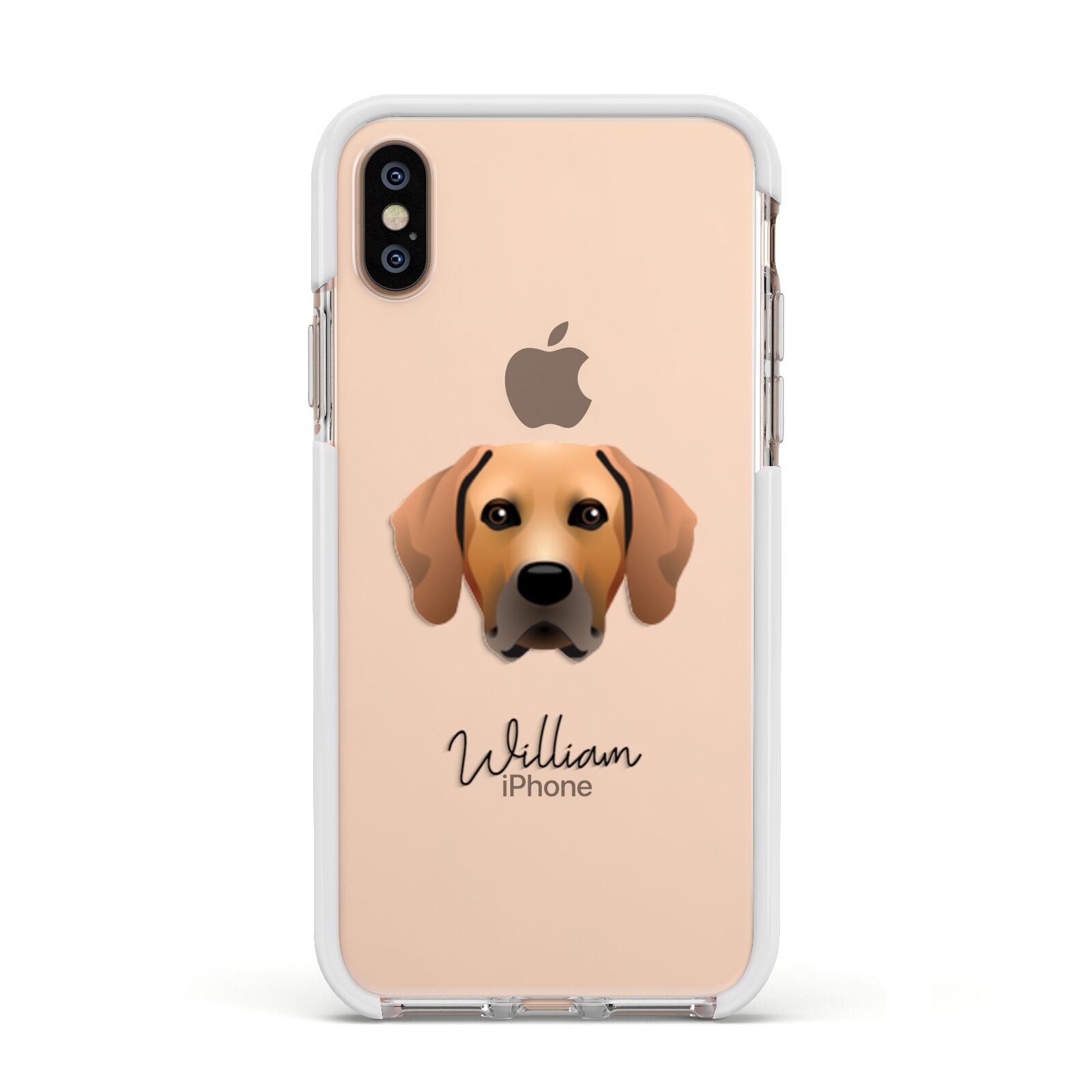 Rhodesian Ridgeback Personalised Apple iPhone Xs Impact Case White Edge on Gold Phone