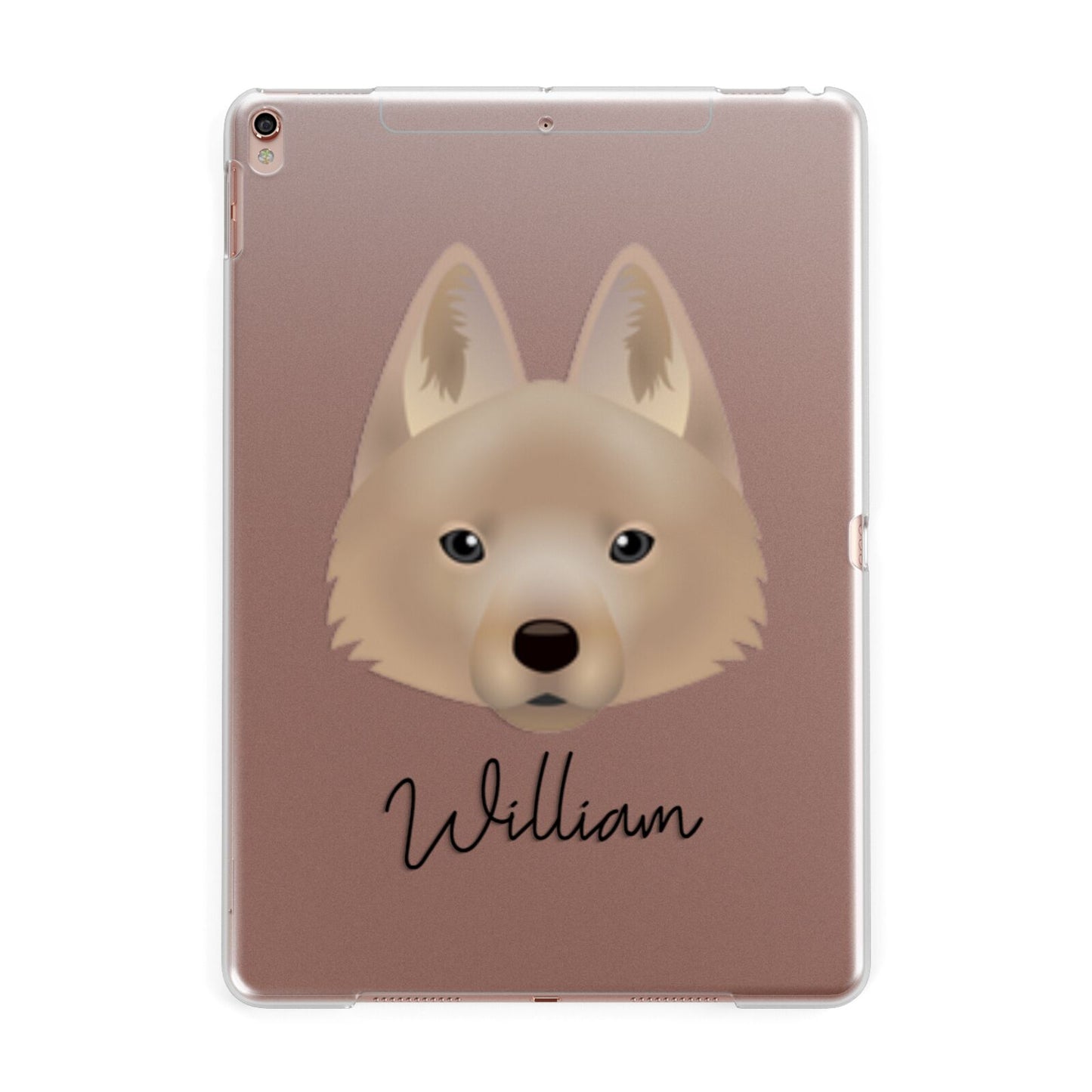 Schipperke Personalised Apple iPad Rose Gold Case