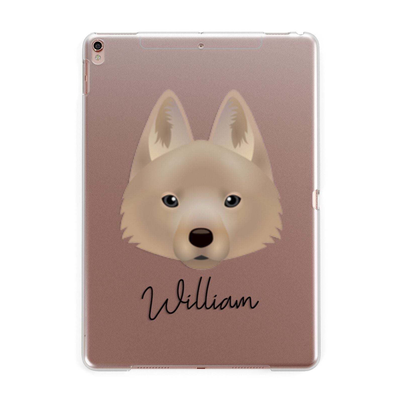 Schipperke Personalised Apple iPad Rose Gold Case