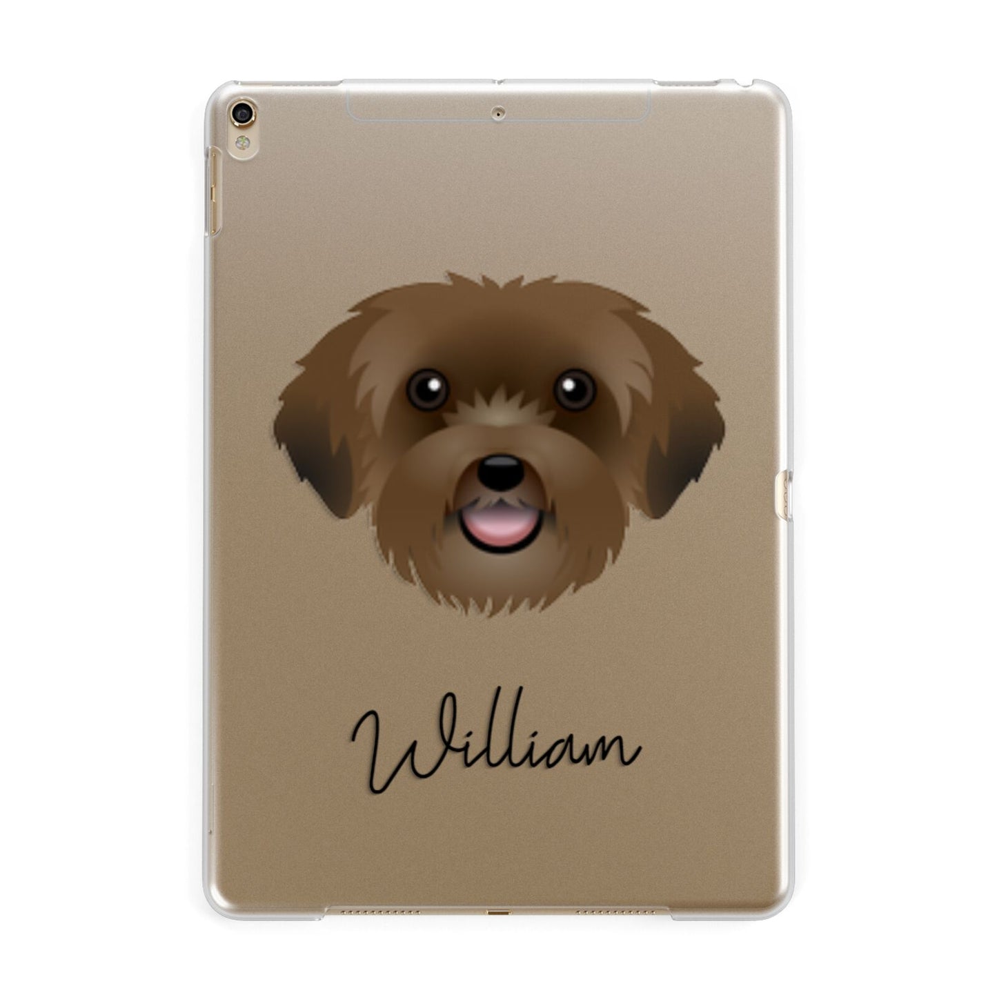 Schnoodle Personalised Apple iPad Gold Case