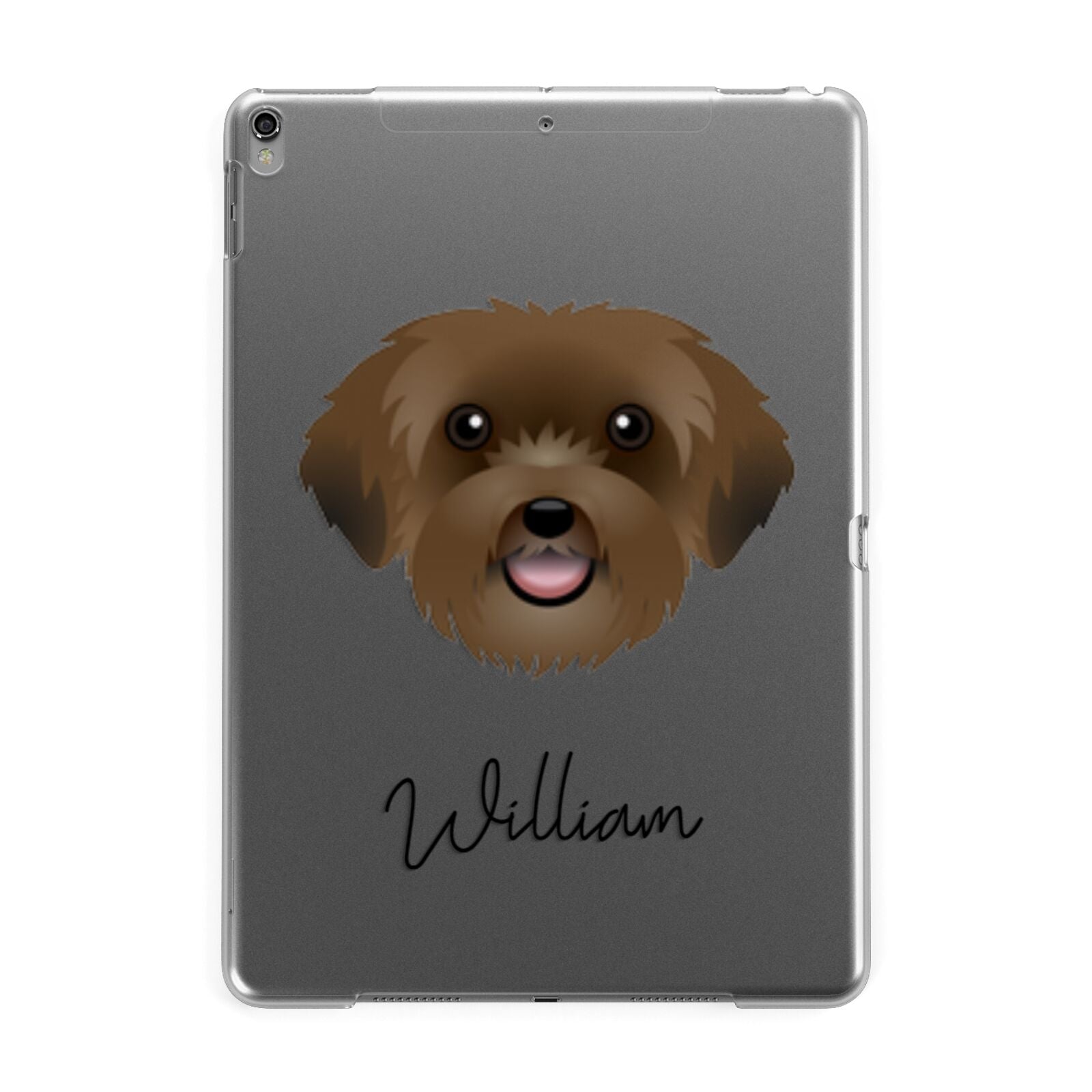 Schnoodle Personalised Apple iPad Grey Case
