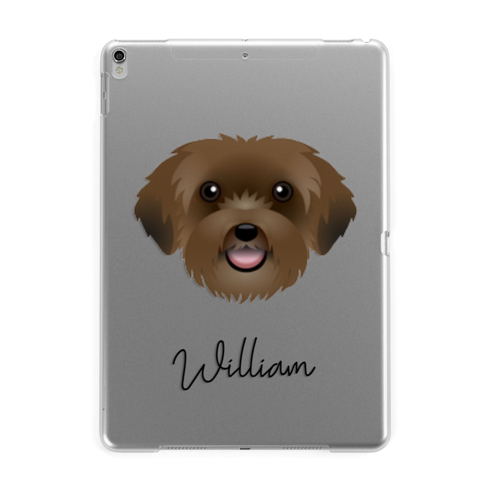 Schnoodle Personalised Apple iPad Silver Case