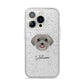 Schnoodle Personalised iPhone 14 Pro Glitter Tough Case Silver