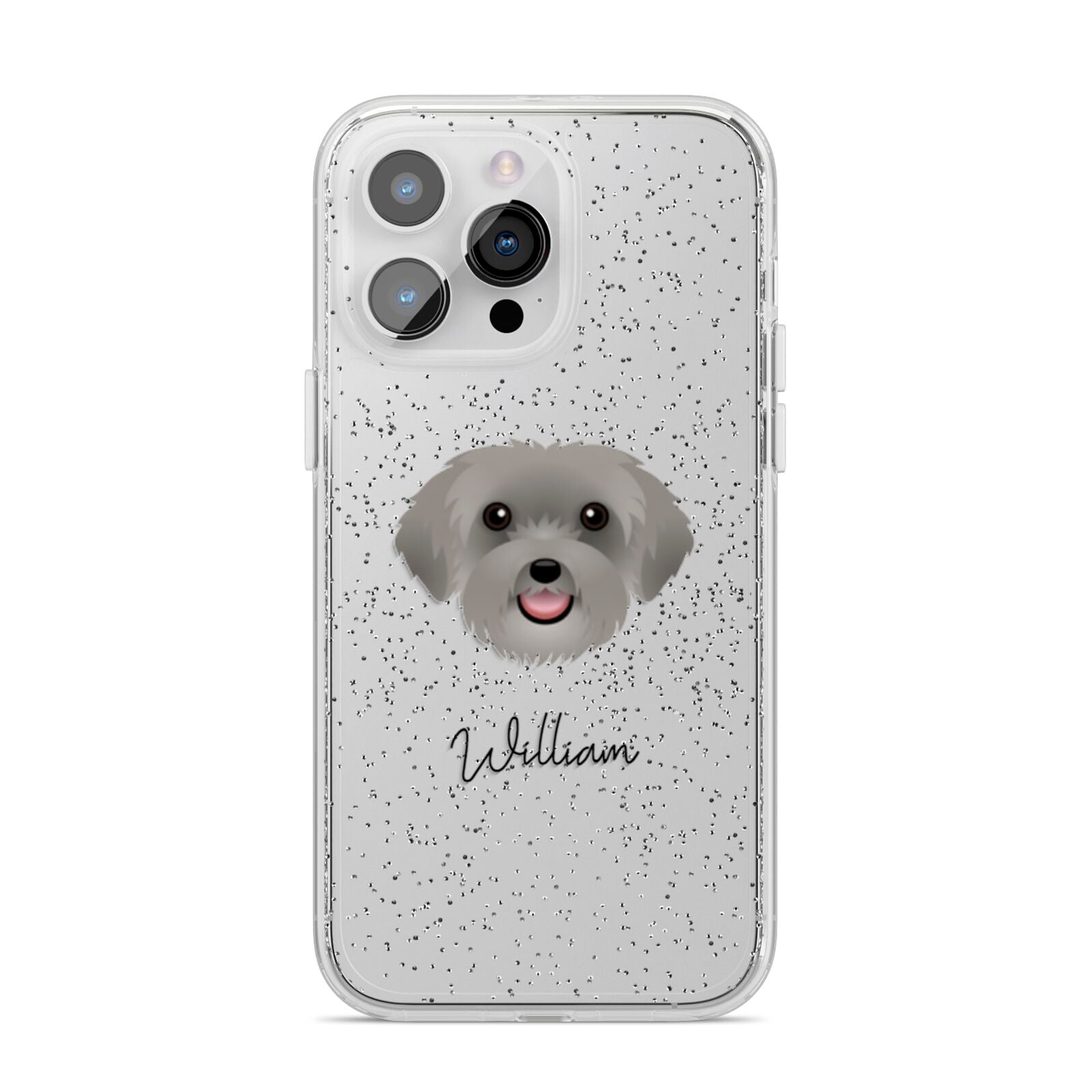 Schnoodle Personalised iPhone 14 Pro Max Glitter Tough Case Silver