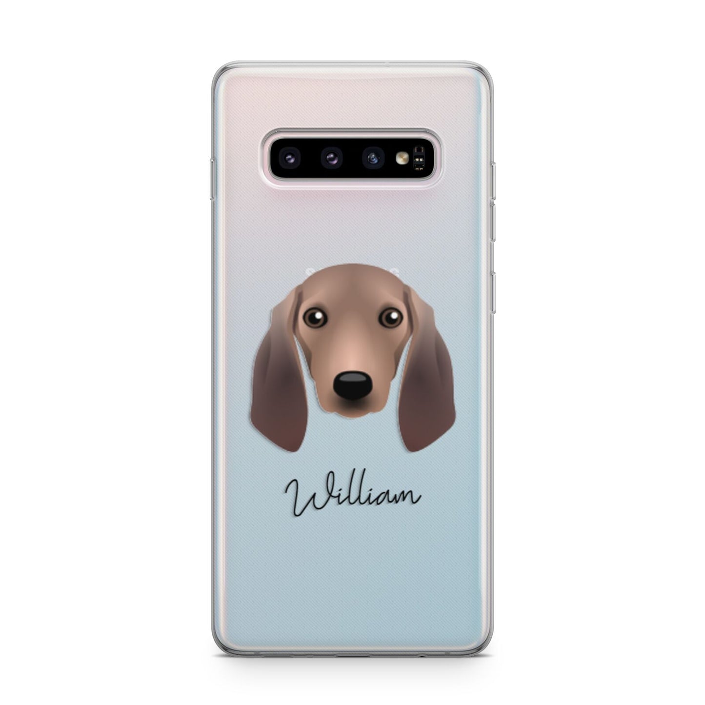 Segugio Italiano Personalised Samsung Galaxy S10 Plus Case