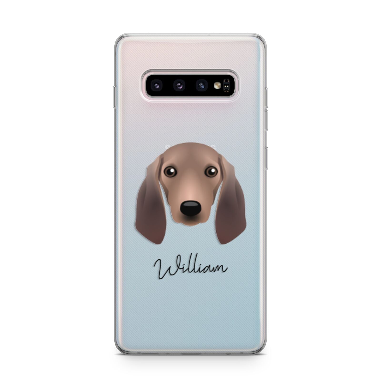 Segugio Italiano Personalised Samsung Galaxy S10 Plus Case