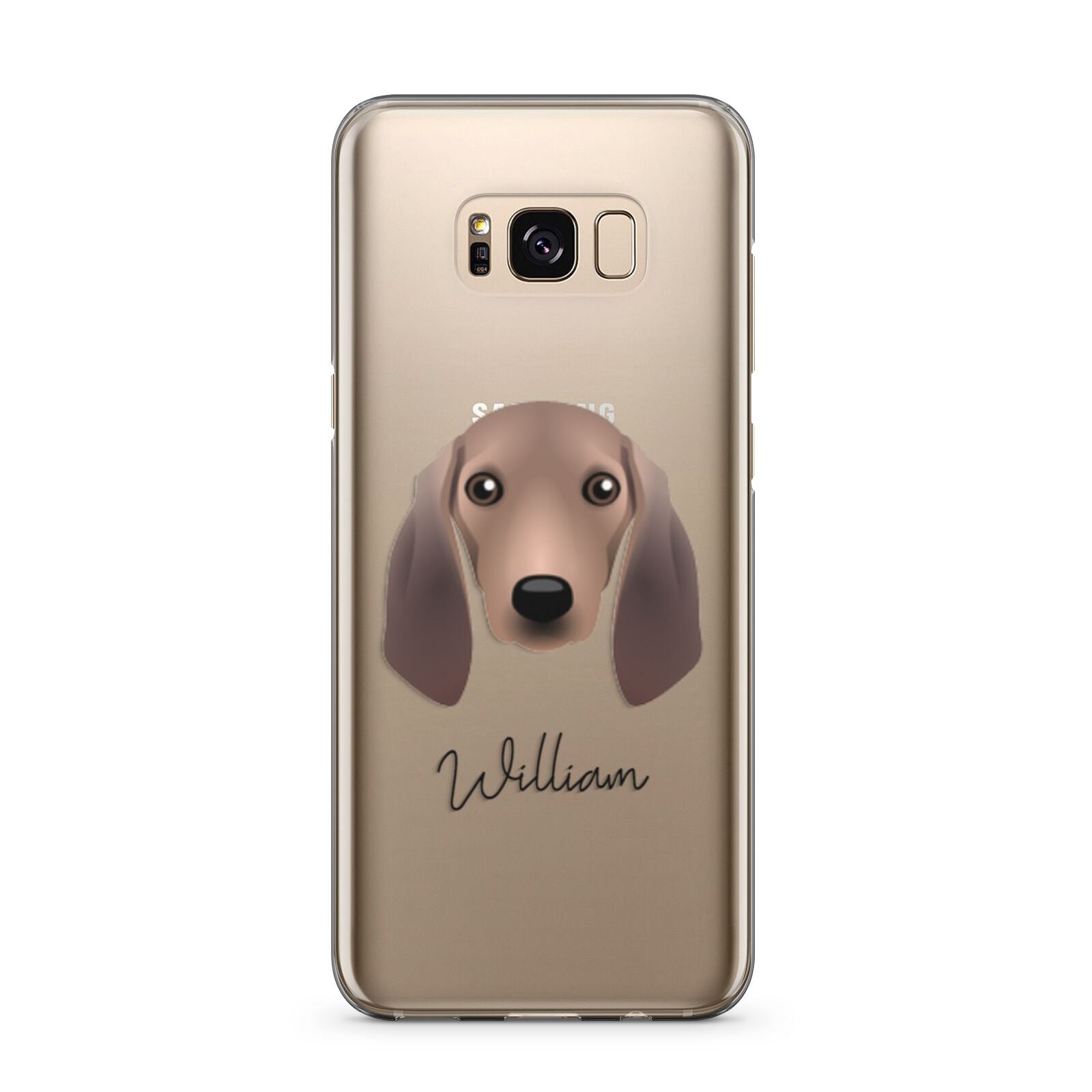 Segugio Italiano Personalised Samsung Galaxy S8 Plus Case