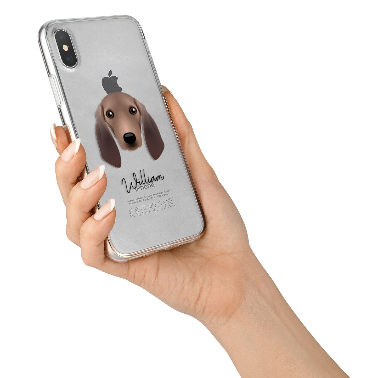 Segugio Italiano Personalised iPhone X Bumper Case on Silver iPhone Alternative Image 2
