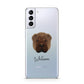 Shar Pei Personalised Samsung S21 Plus Phone Case