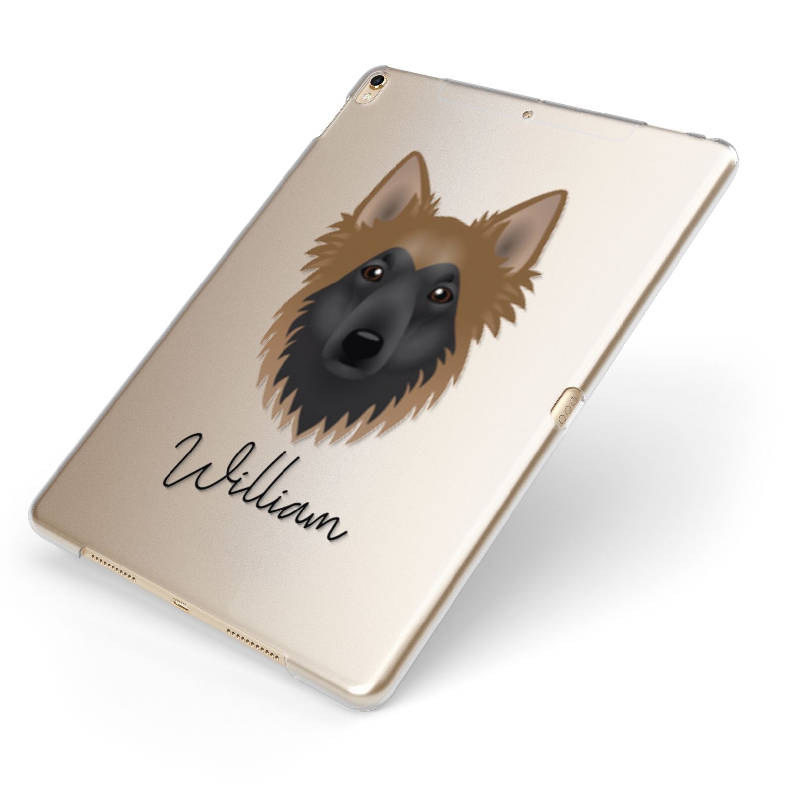 Shollie Personalised Apple iPad Case on Gold iPad Side View
