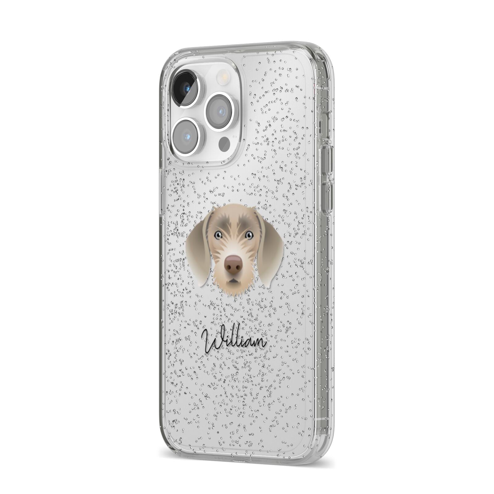 Slovakian Rough Haired Pointer Personalised iPhone 14 Pro Max Glitter Tough Case Silver Angled Image