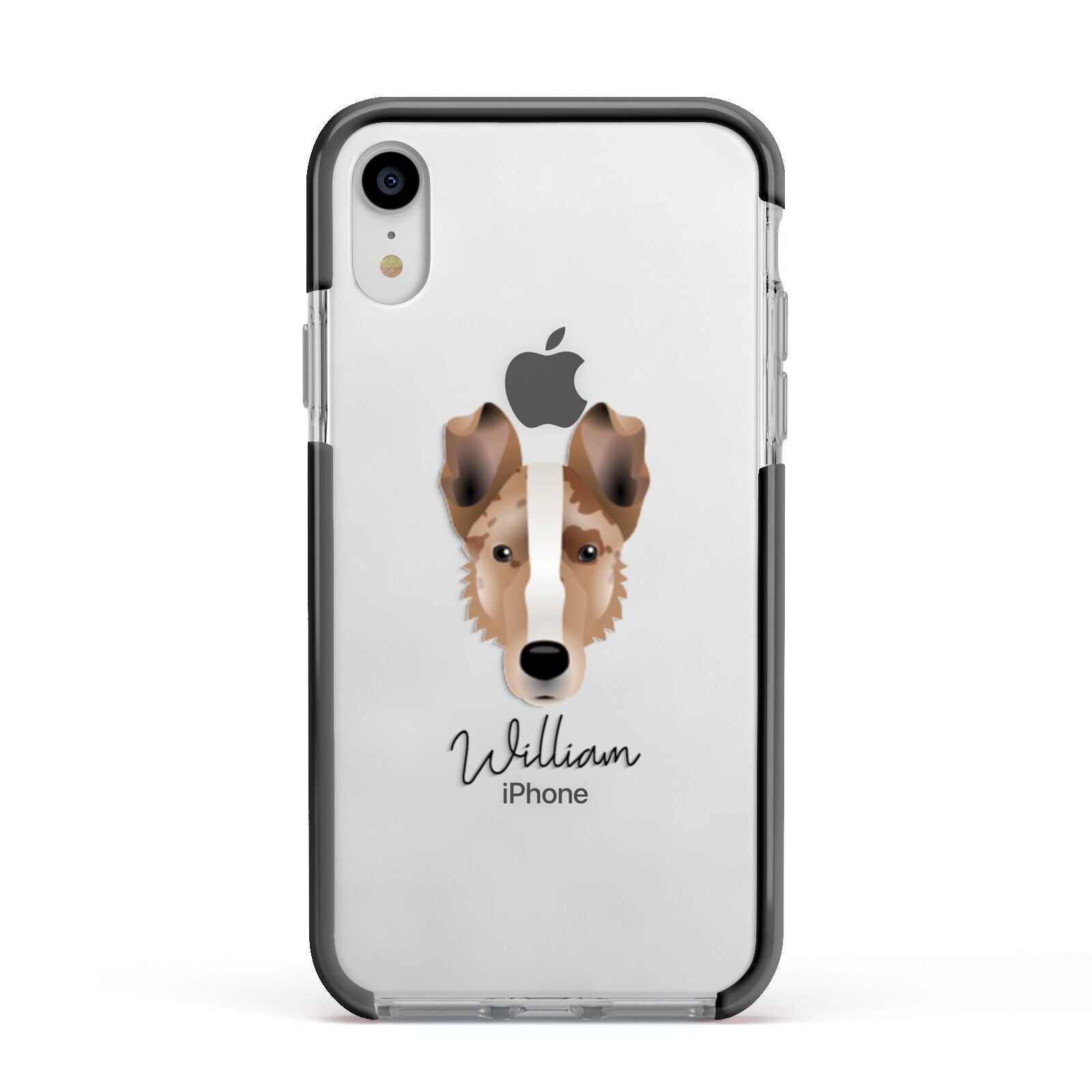 Smooth Collie Personalised Apple iPhone XR Impact Case Black Edge on Silver Phone