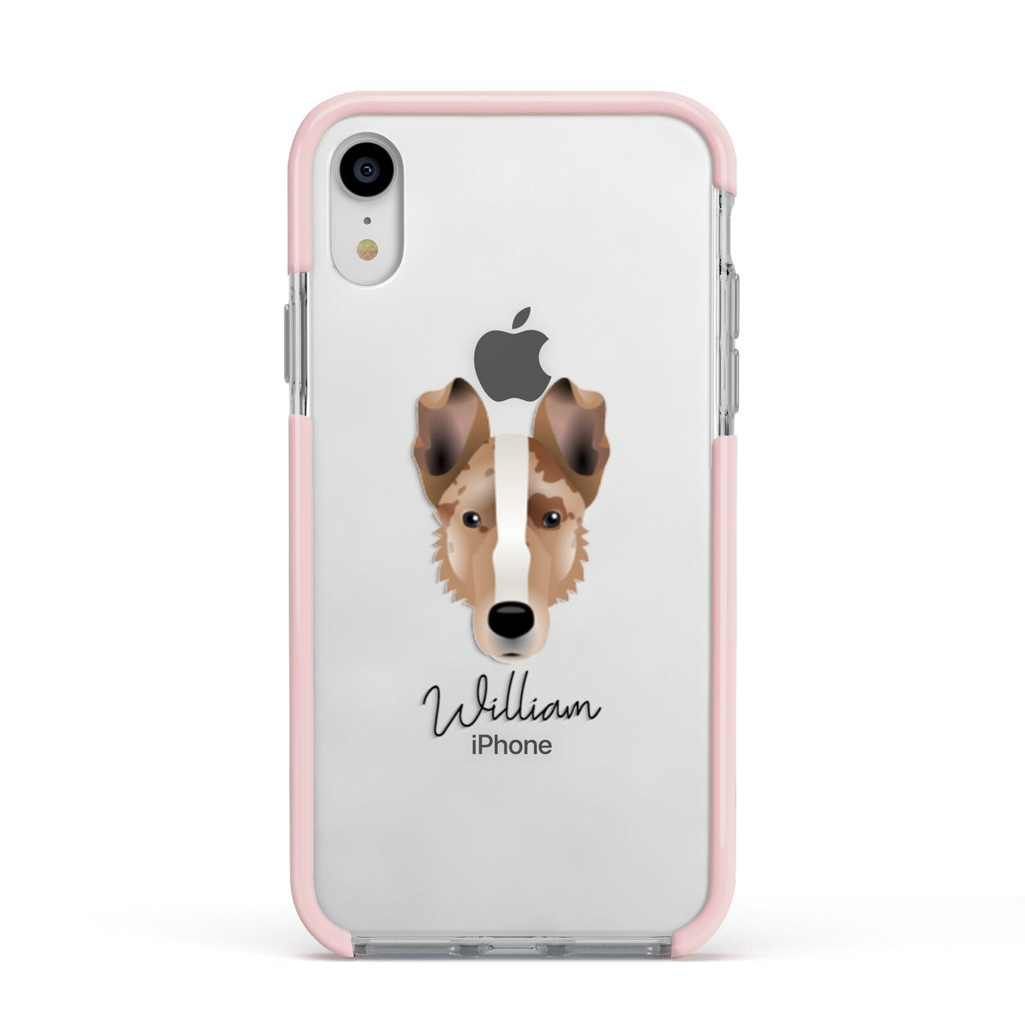 Smooth Collie Personalised Apple iPhone XR Impact Case Pink Edge on Silver Phone