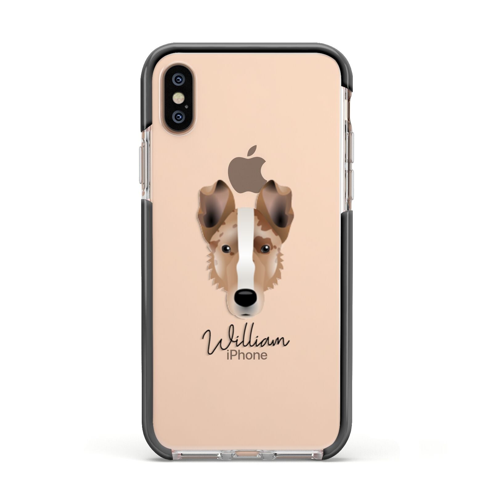 Smooth Collie Personalised Apple iPhone Xs Impact Case Black Edge on Gold Phone