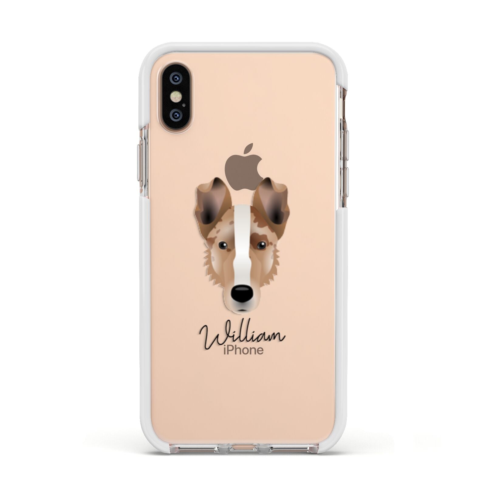 Smooth Collie Personalised Apple iPhone Xs Impact Case White Edge on Gold Phone
