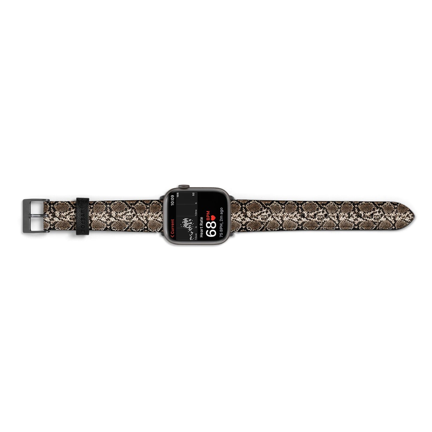 Snakeskin Pattern Apple Watch Strap Size 38mm Landscape Image Space Grey Hardware
