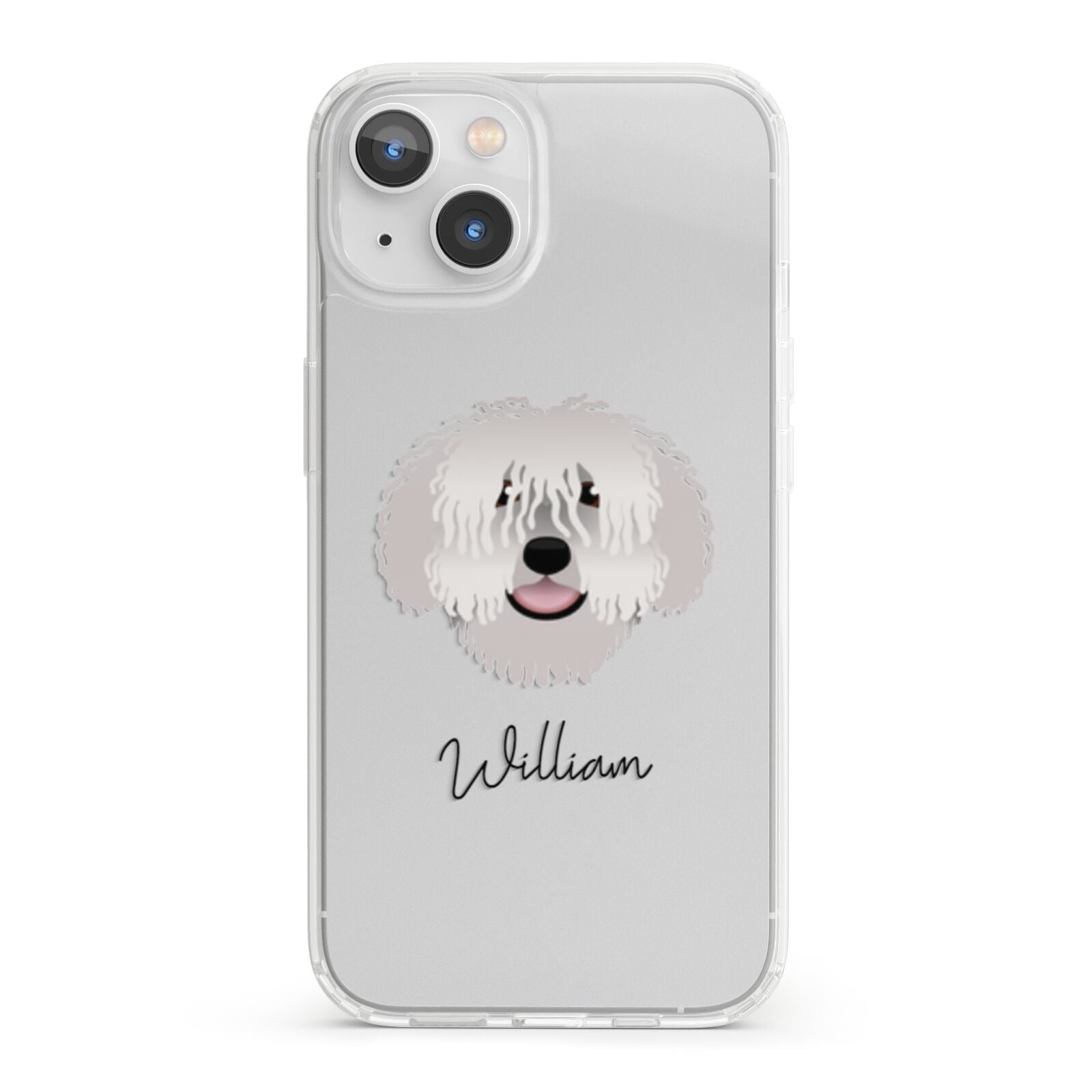 Spanish Water Dog Personalised iPhone 13 Clear Bumper Case