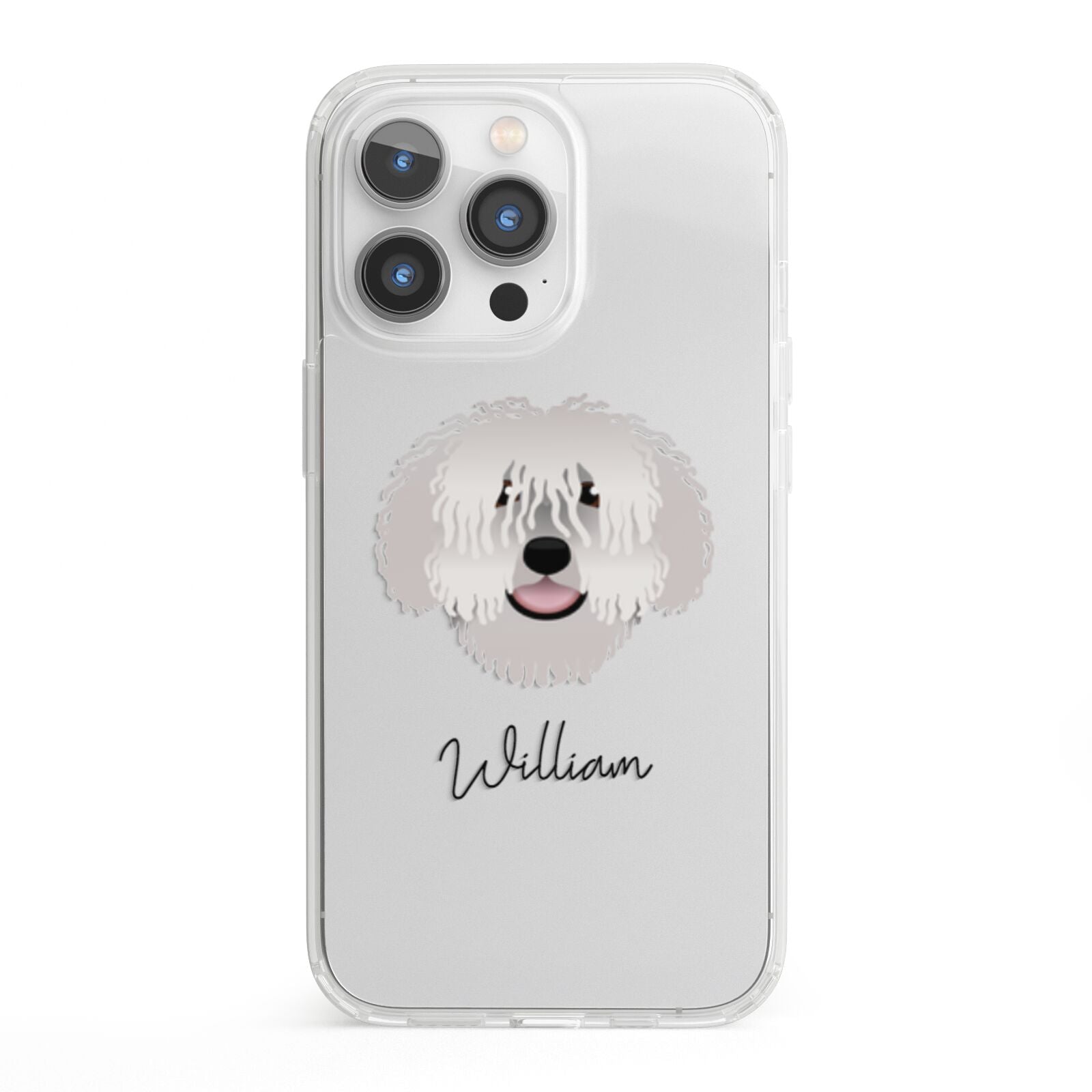 Spanish Water Dog Personalised iPhone 13 Pro Clear Bumper Case