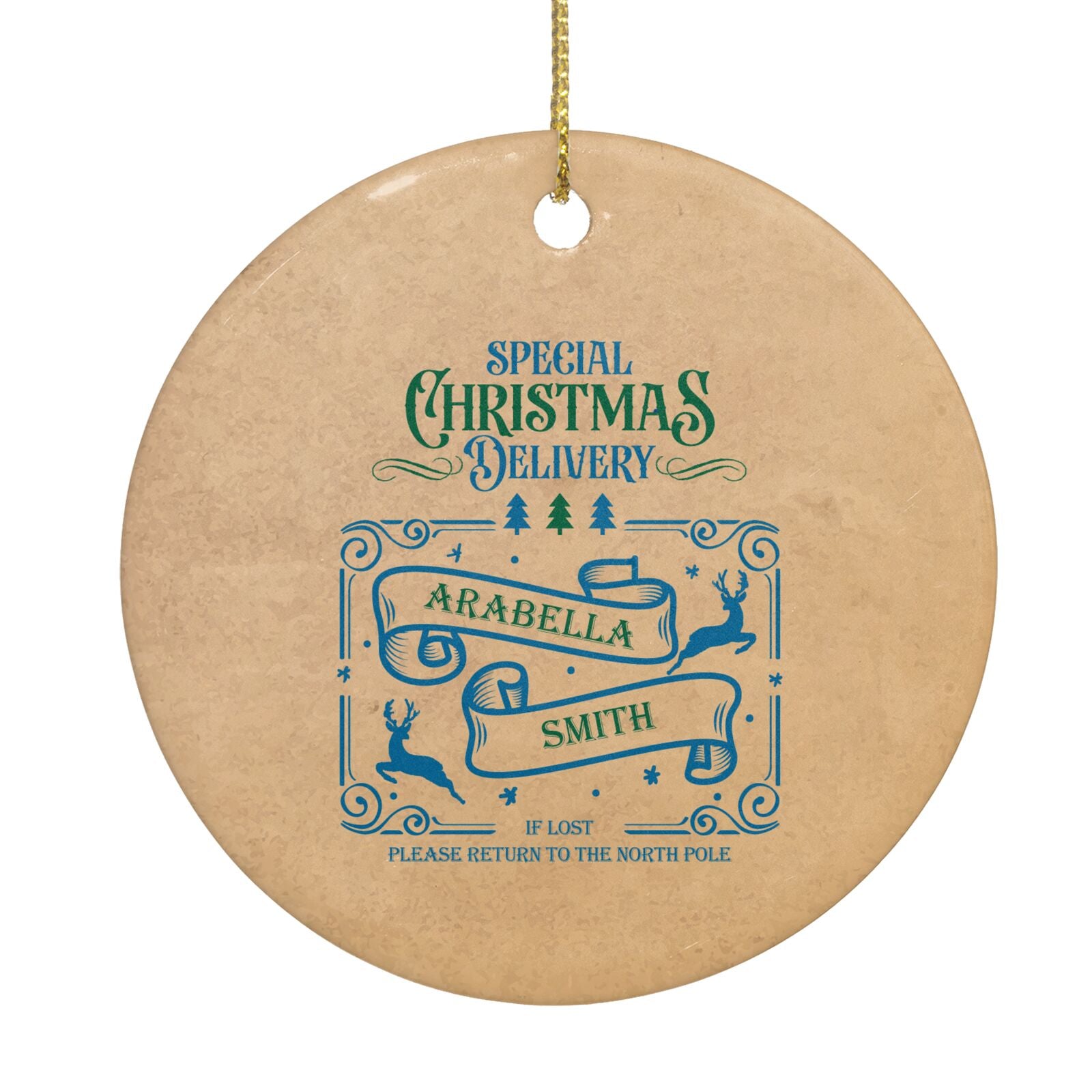 Special Christmas Delivery Personalised Circle Decoration Back Image