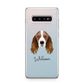 Springer Spaniel Personalised Samsung Galaxy S10 Plus Case