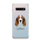 Springer Spaniel Personalised Samsung Galaxy S10 Plus Case