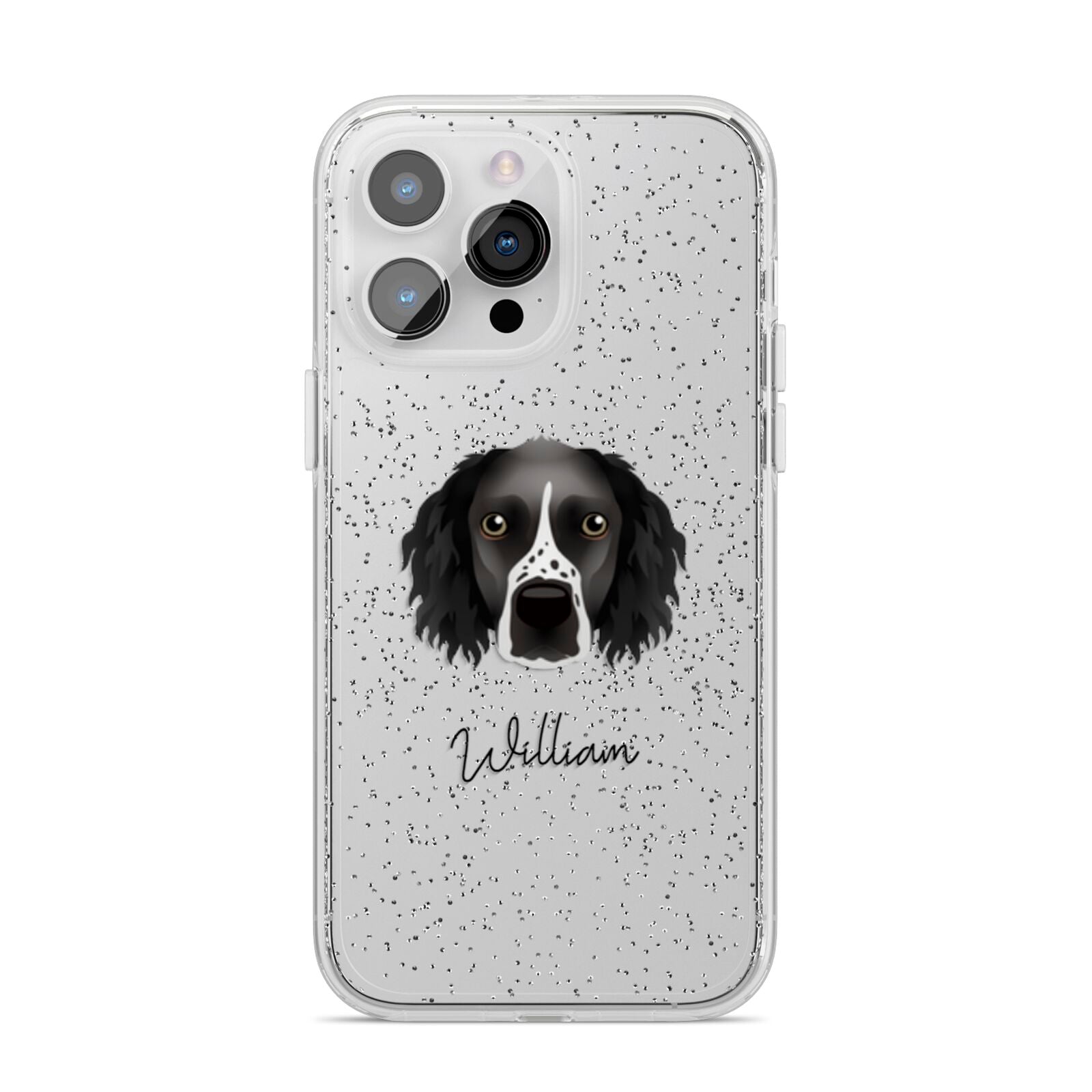 Sprocker Personalised iPhone 14 Pro Max Glitter Tough Case Silver