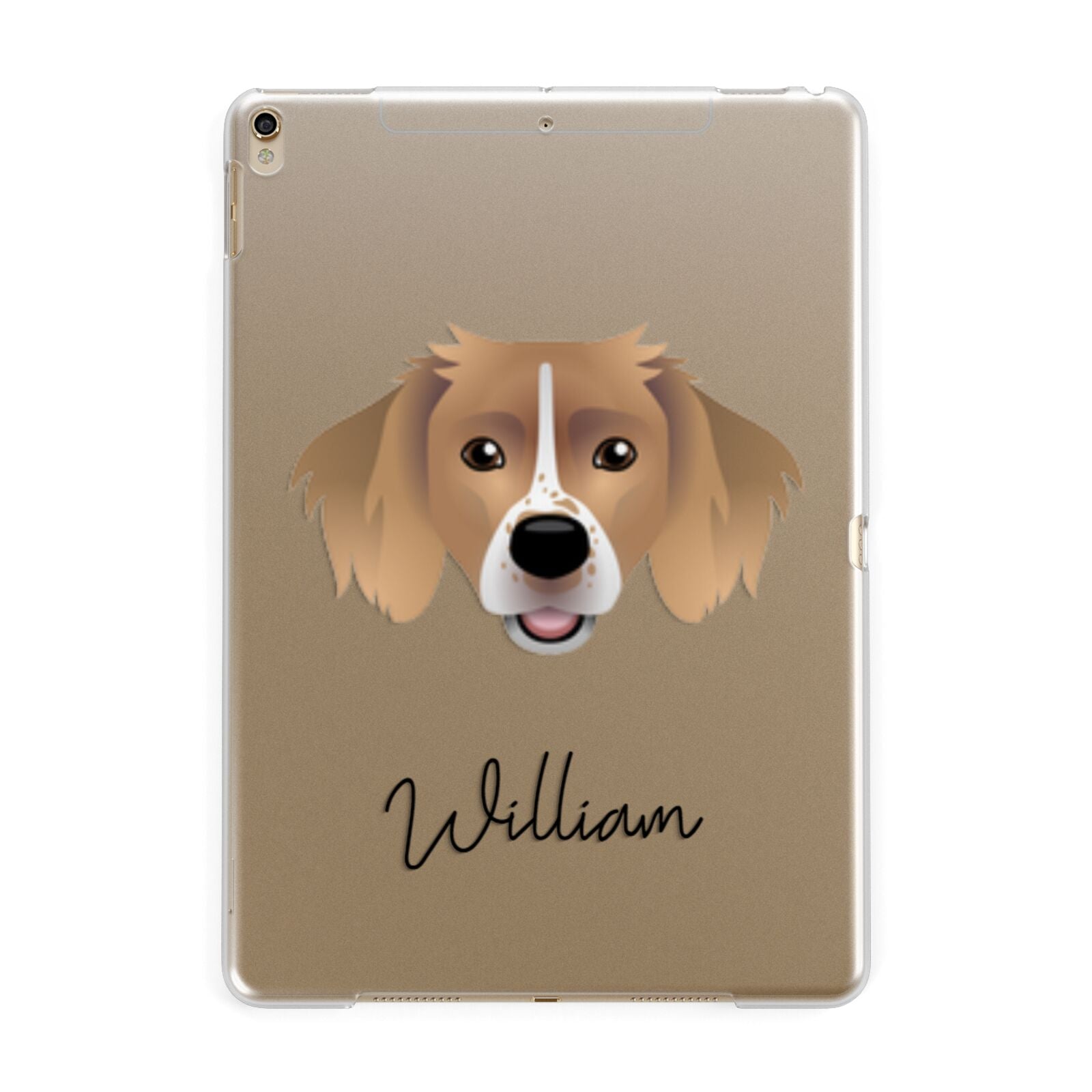 Sprollie Personalised Apple iPad Gold Case