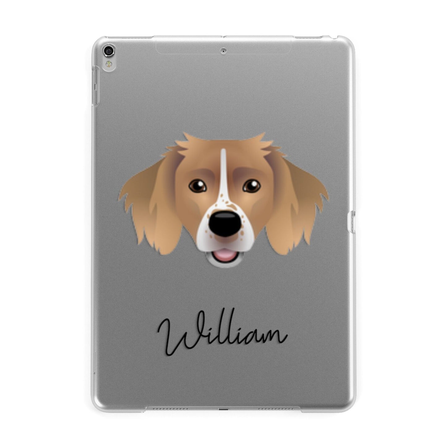 Sprollie Personalised Apple iPad Silver Case