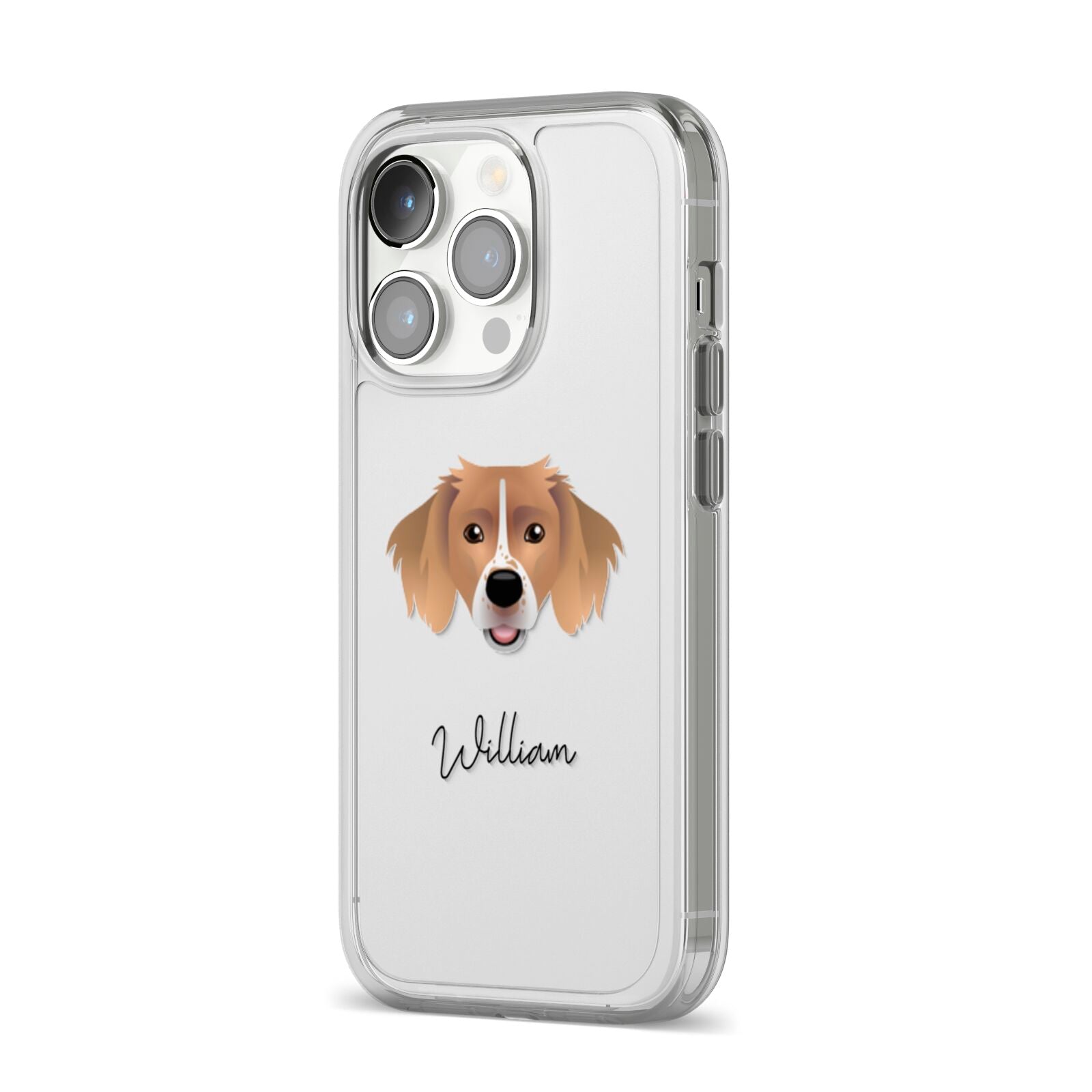 Sprollie Personalised iPhone 14 Pro Clear Tough Case Silver Angled Image