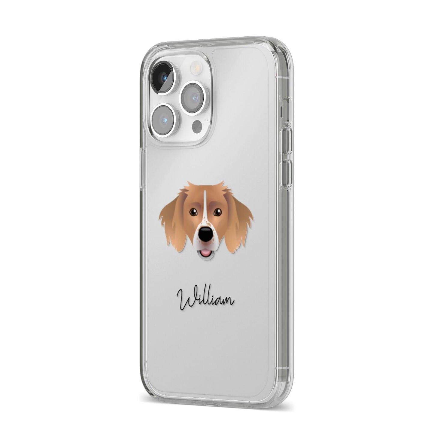 Sprollie Personalised iPhone 14 Pro Max Clear Tough Case Silver Angled Image