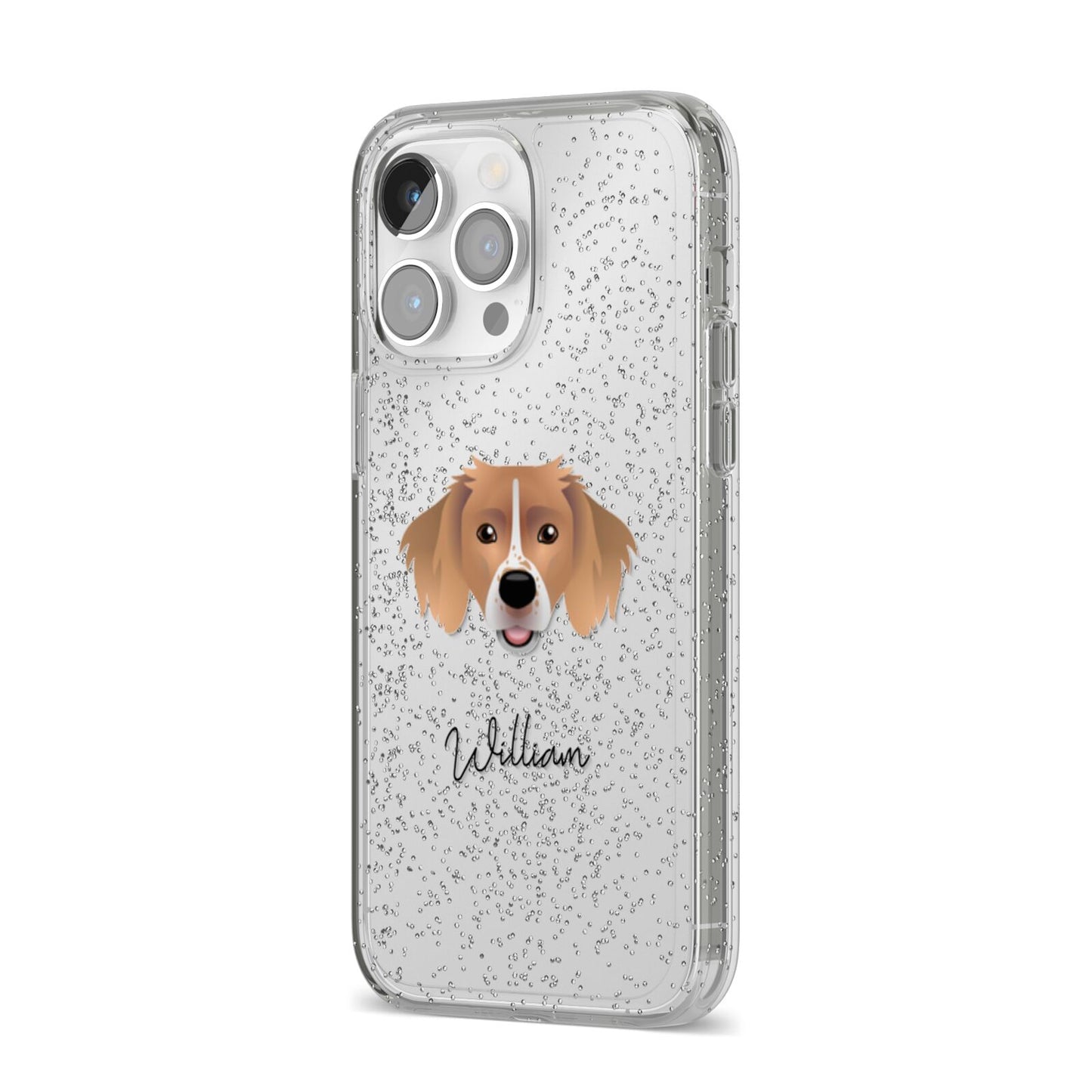 Sprollie Personalised iPhone 14 Pro Max Glitter Tough Case Silver Angled Image