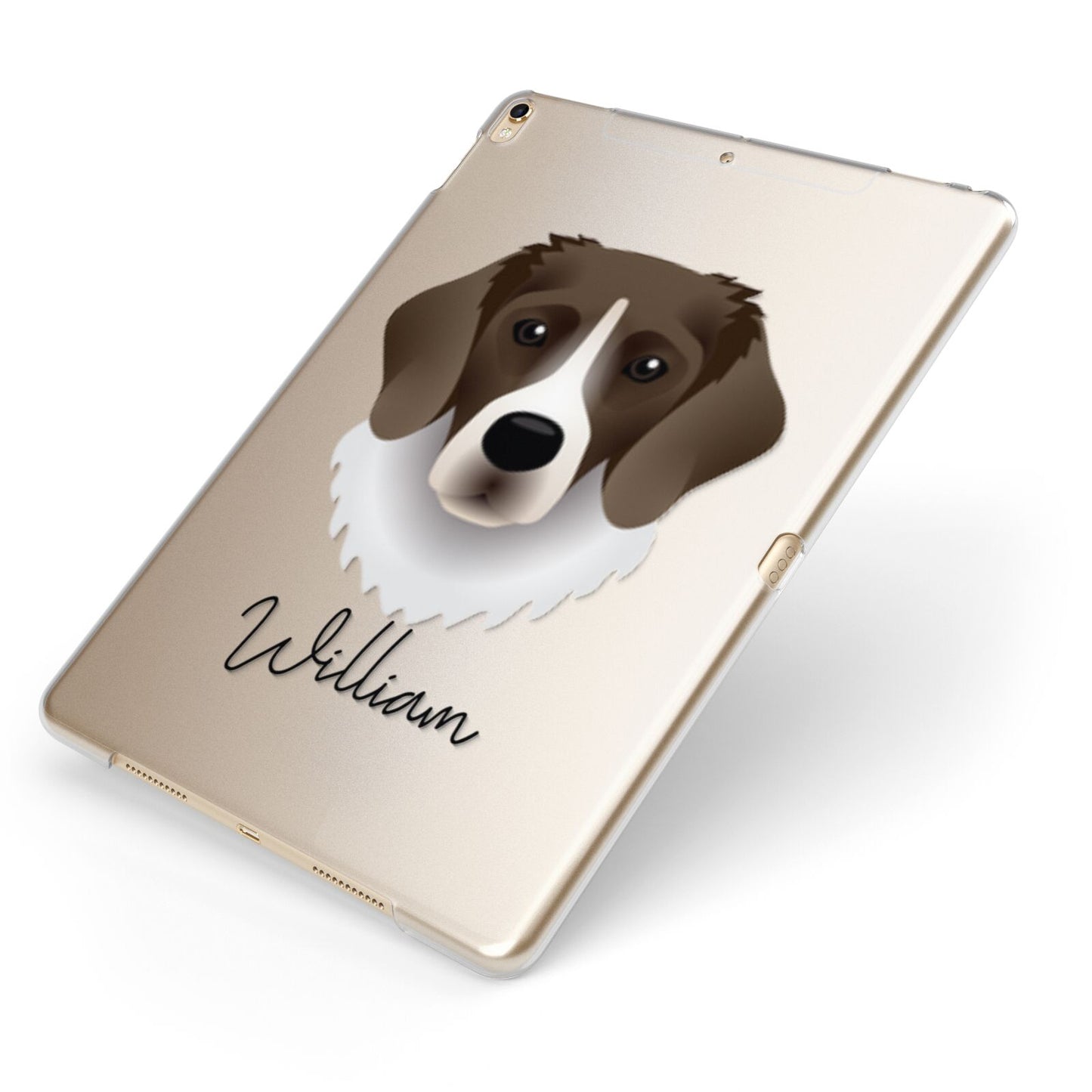 Stabyhoun Personalised Apple iPad Case on Gold iPad Side View