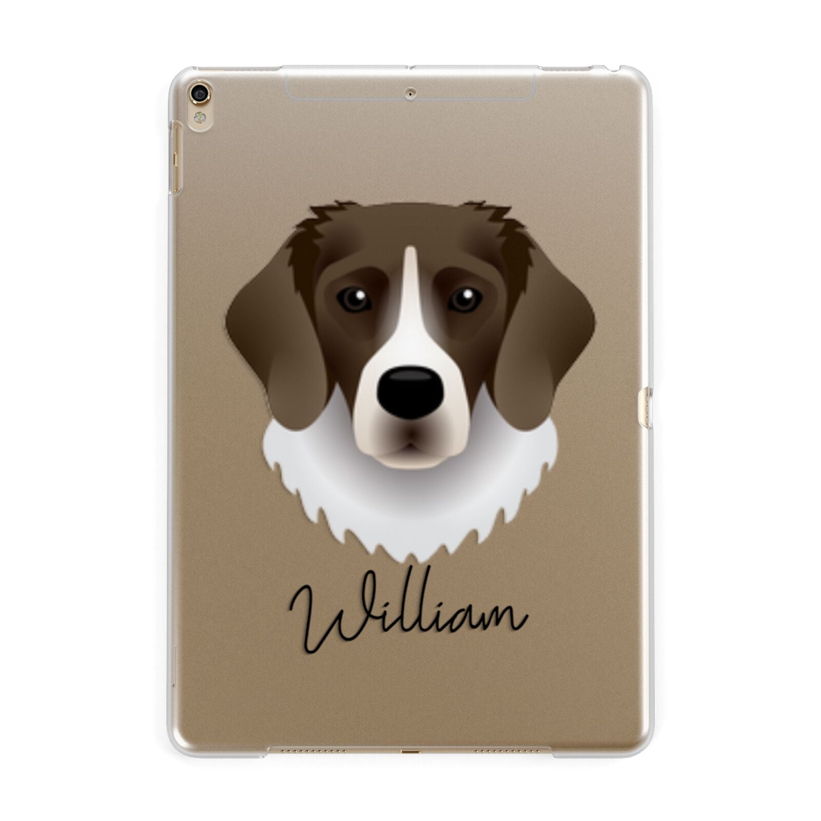Stabyhoun Personalised Apple iPad Gold Case
